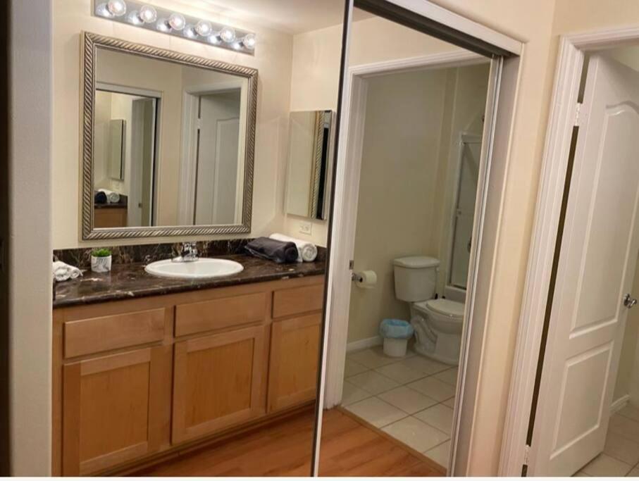 Urban Haven at Orsini