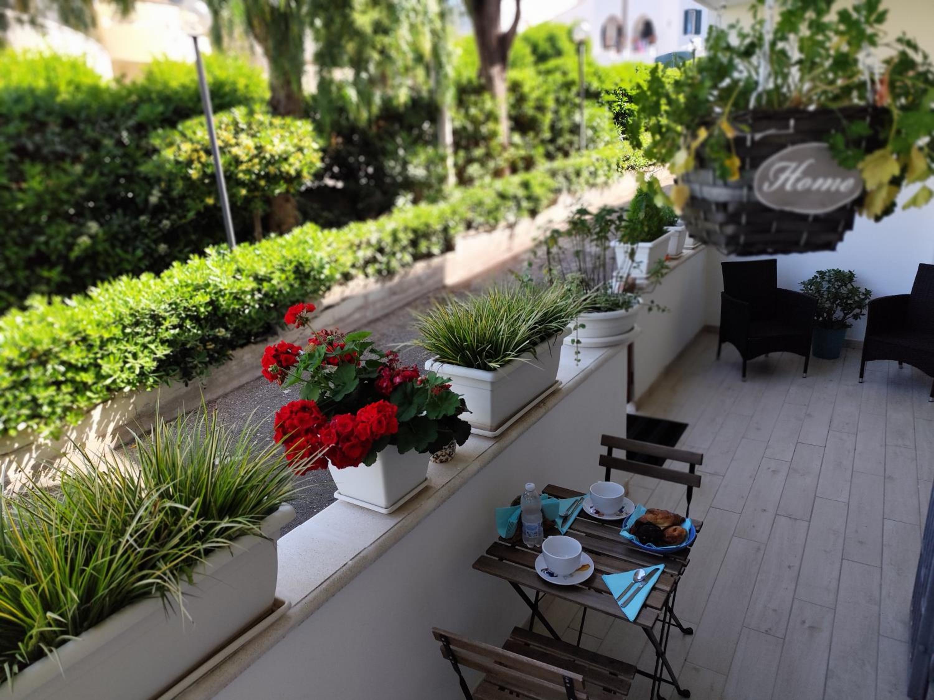 balance & terrace
