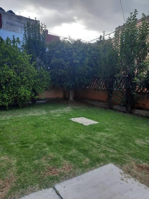 Photo 32