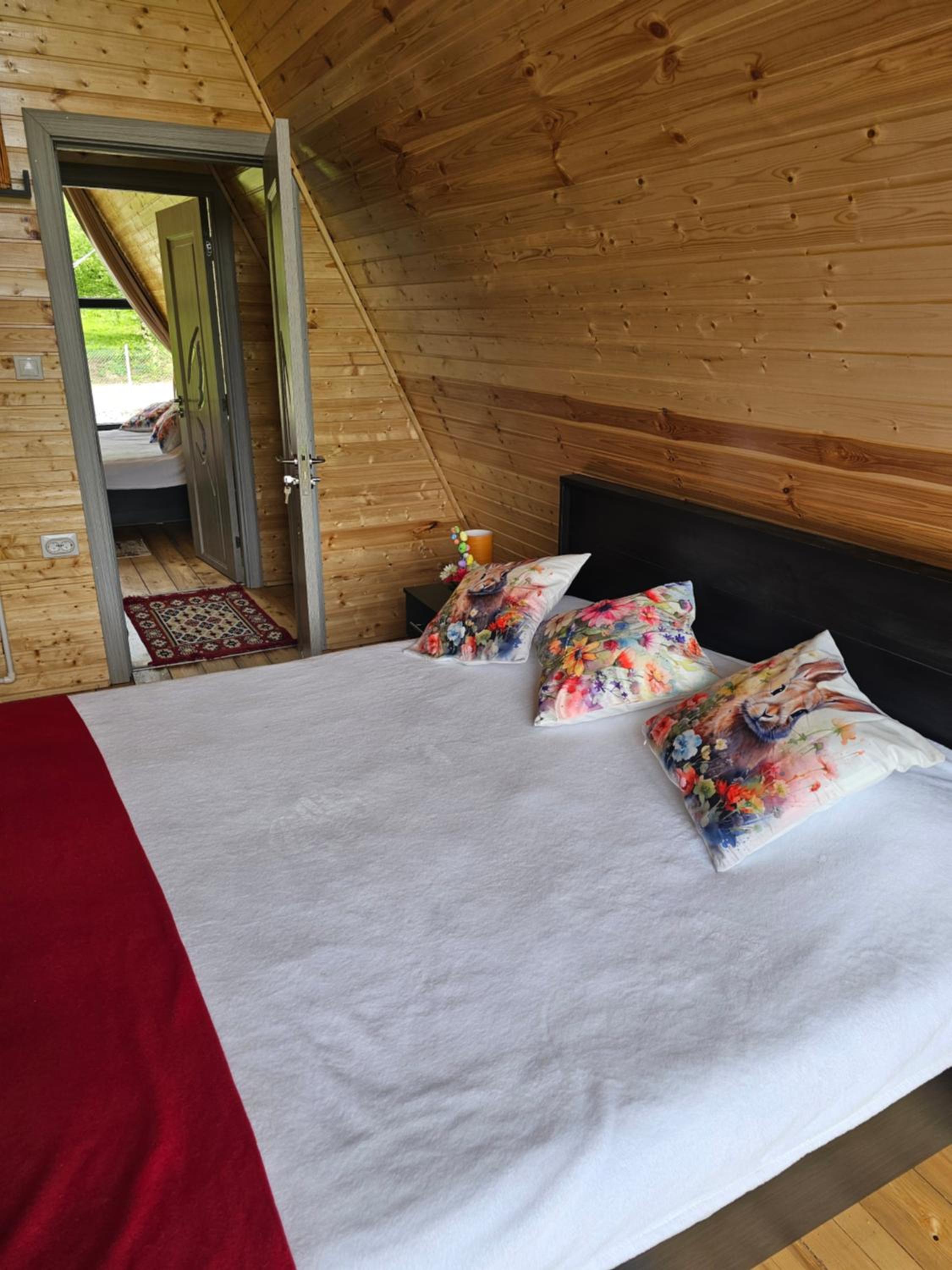 Cabana Apuseni Forest