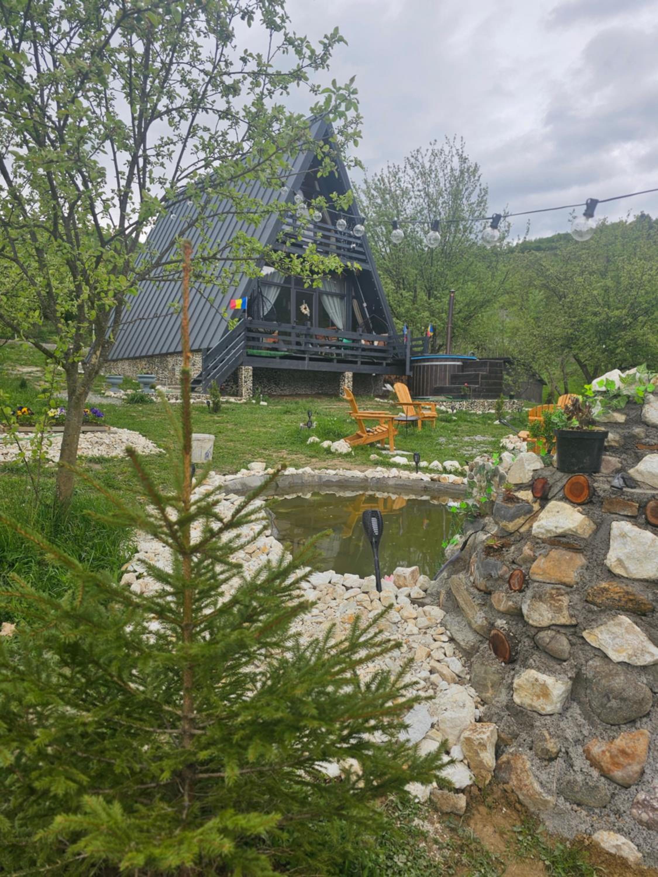 Cabana Apuseni Forest