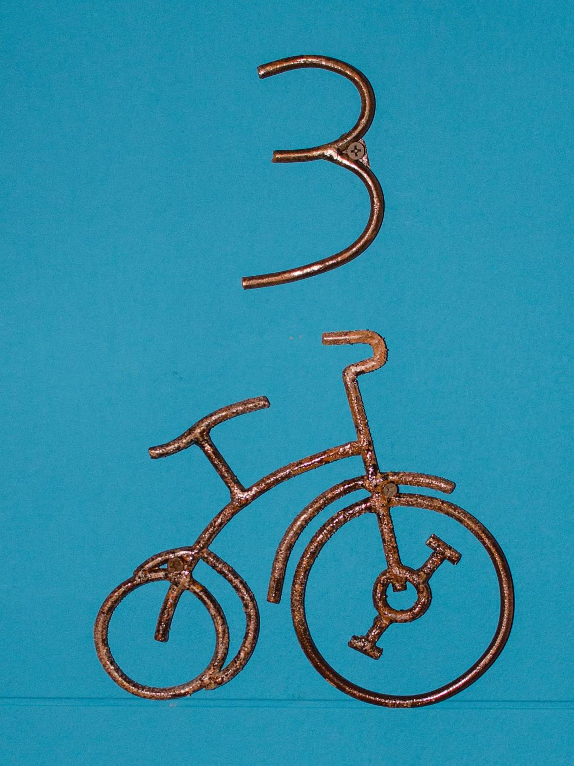 La Bicicleta Hostal, photo 43