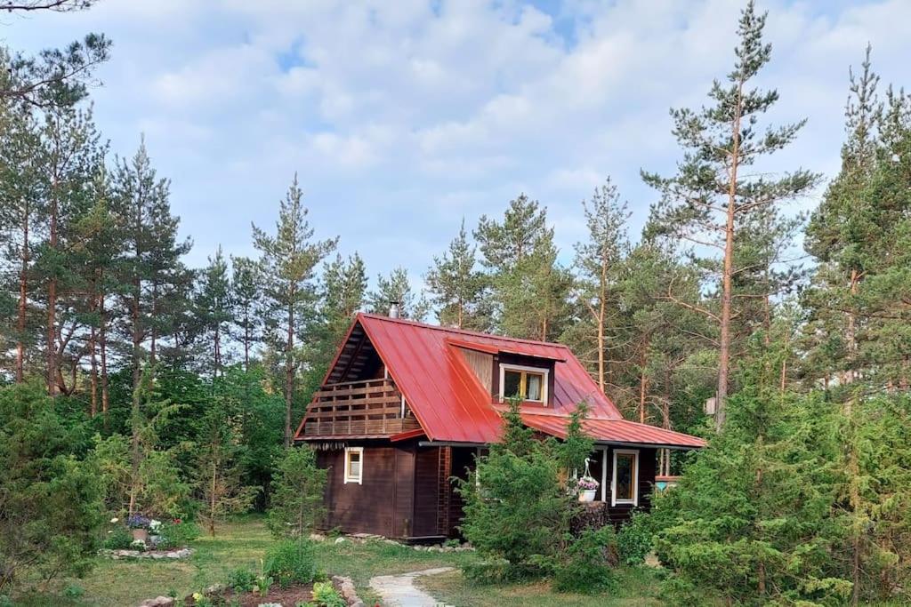 Sinilille suvemaja saunaga
