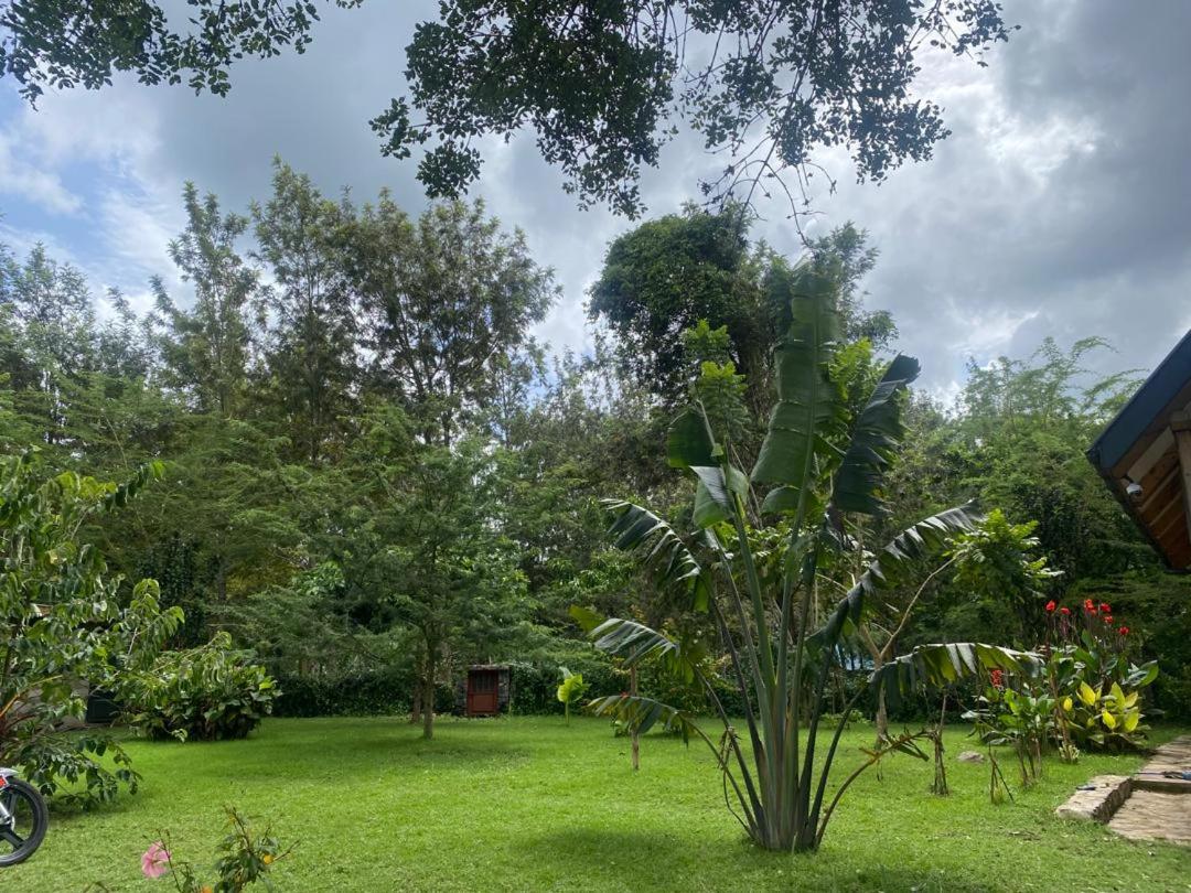 Msitu Hut view 4