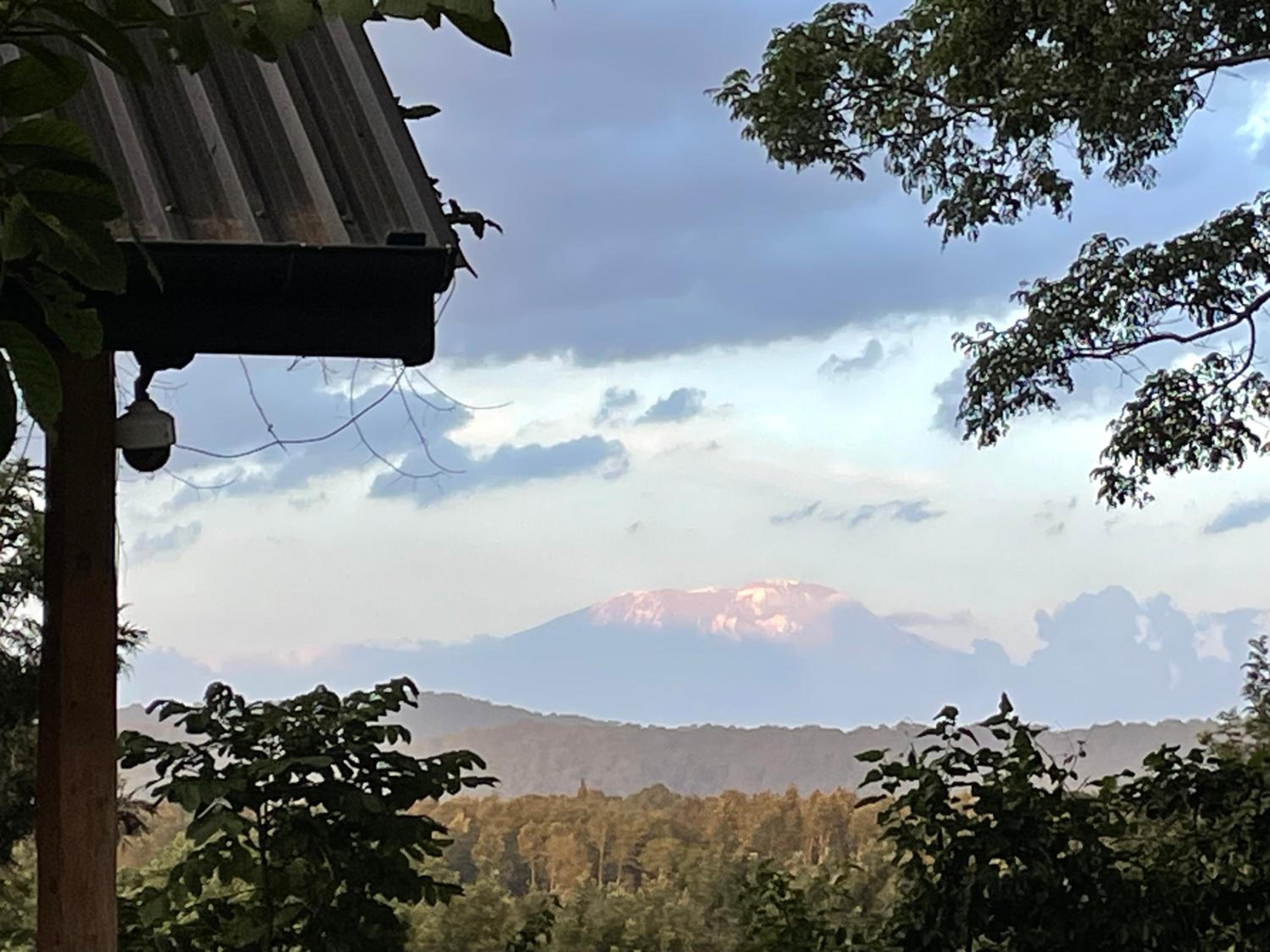 Msitu Hut view 2
