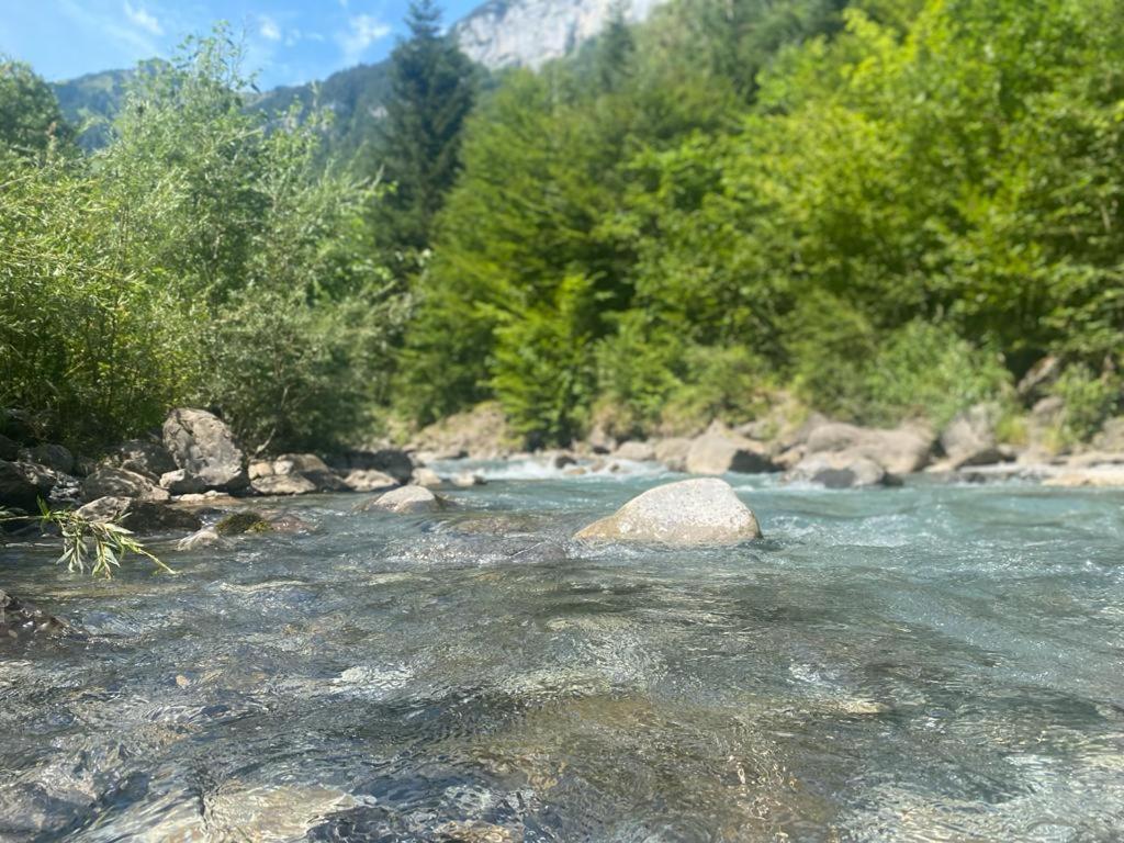 Alpenperle