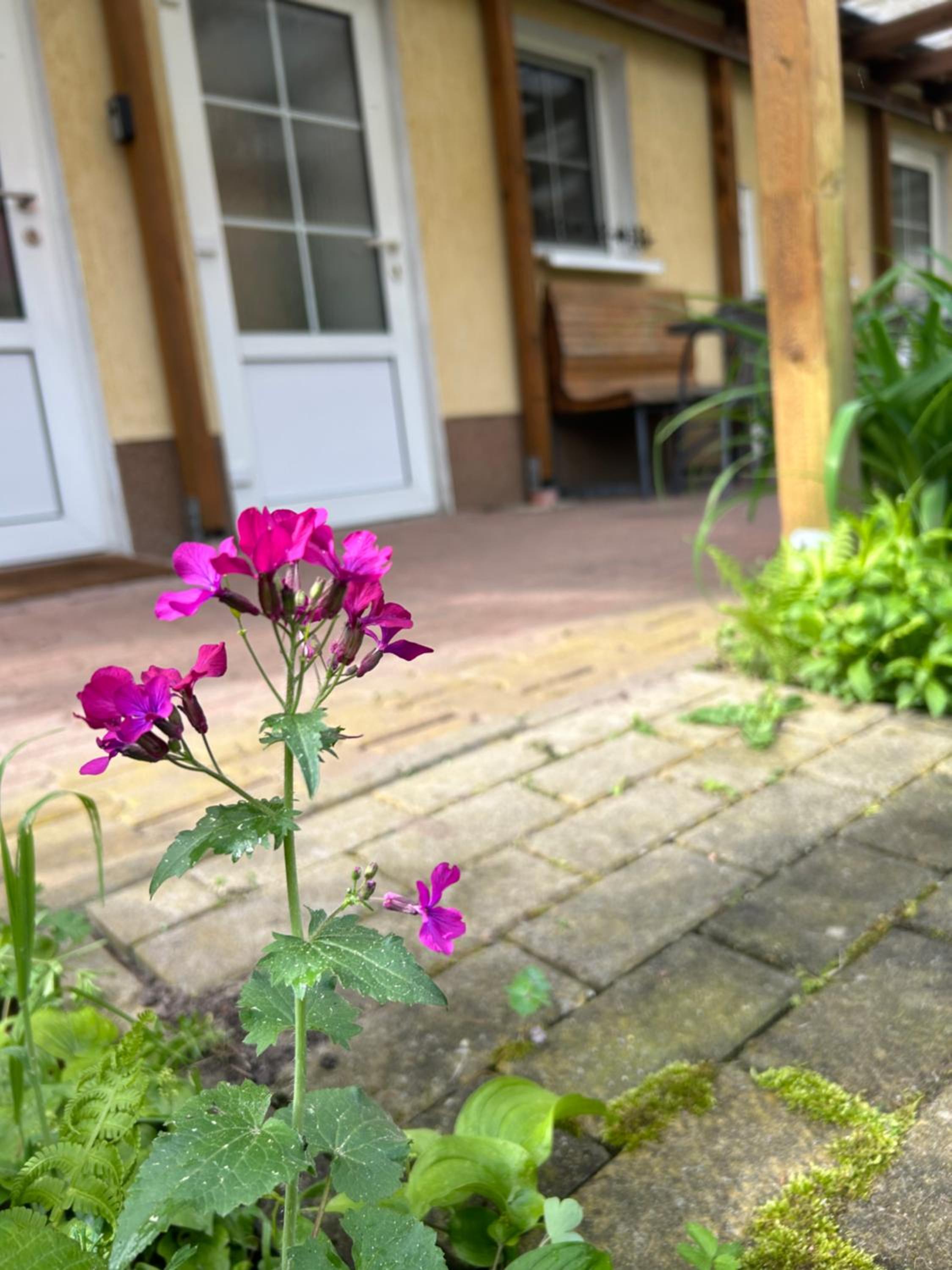 Gemütliche Wohnung Landlust in See-Nähe