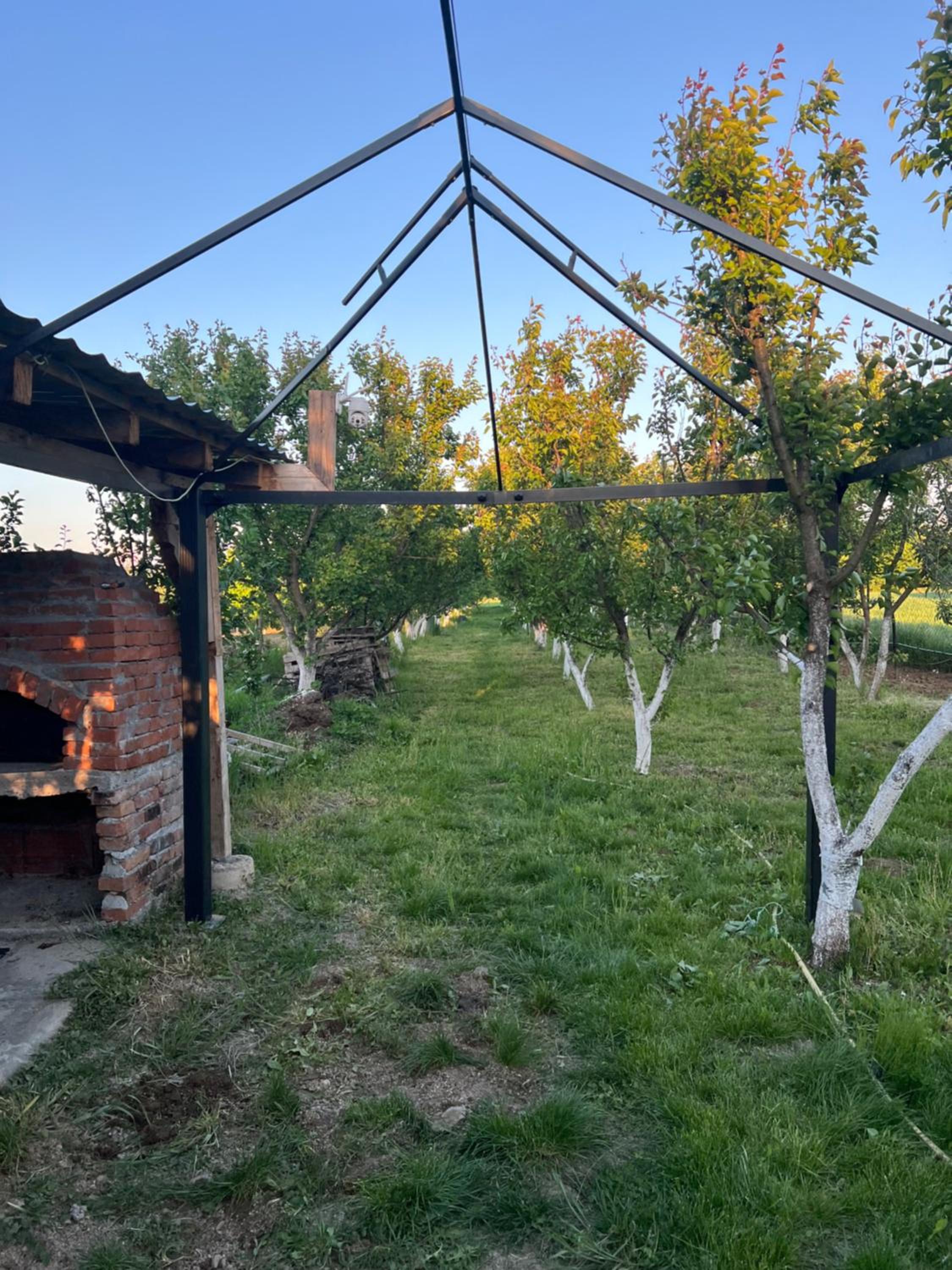 Brvnara Mikić view 5