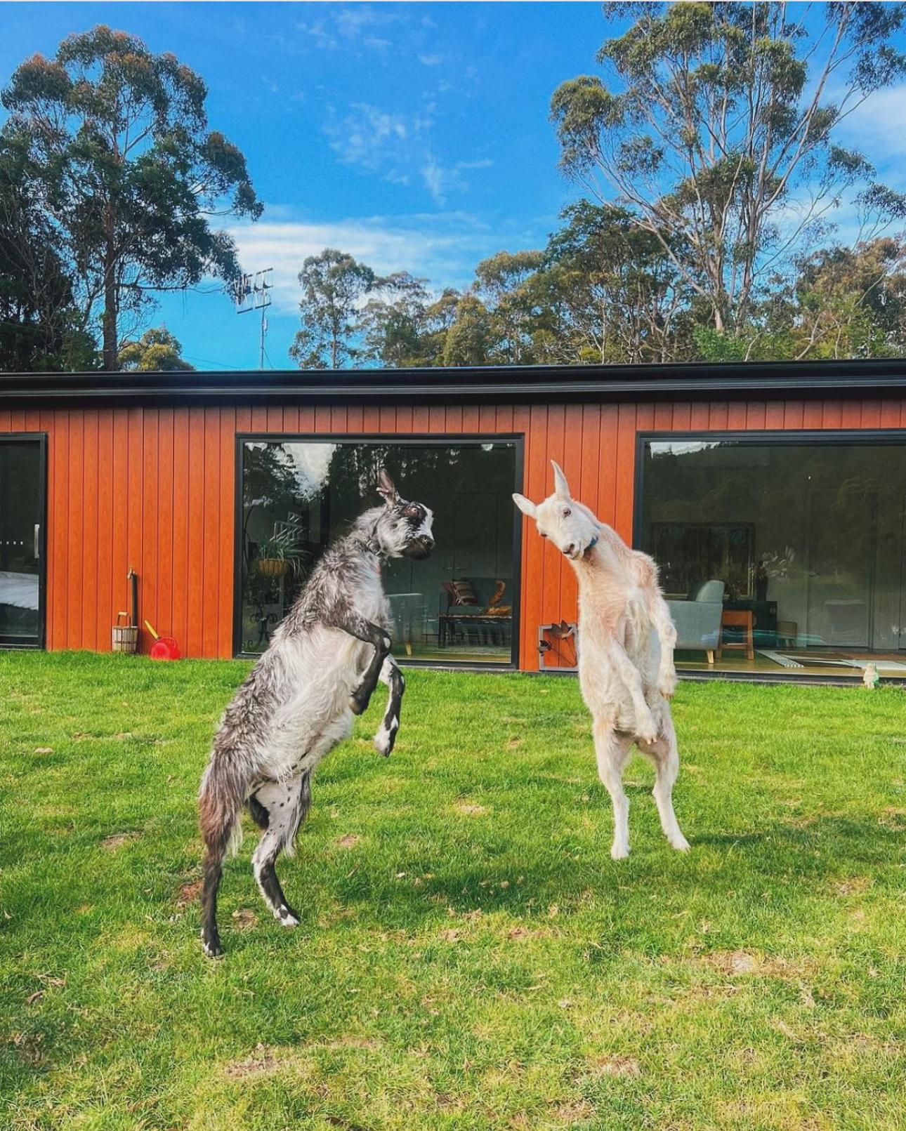 Quamby Bluff Lake House, Deloraine, Tasmania