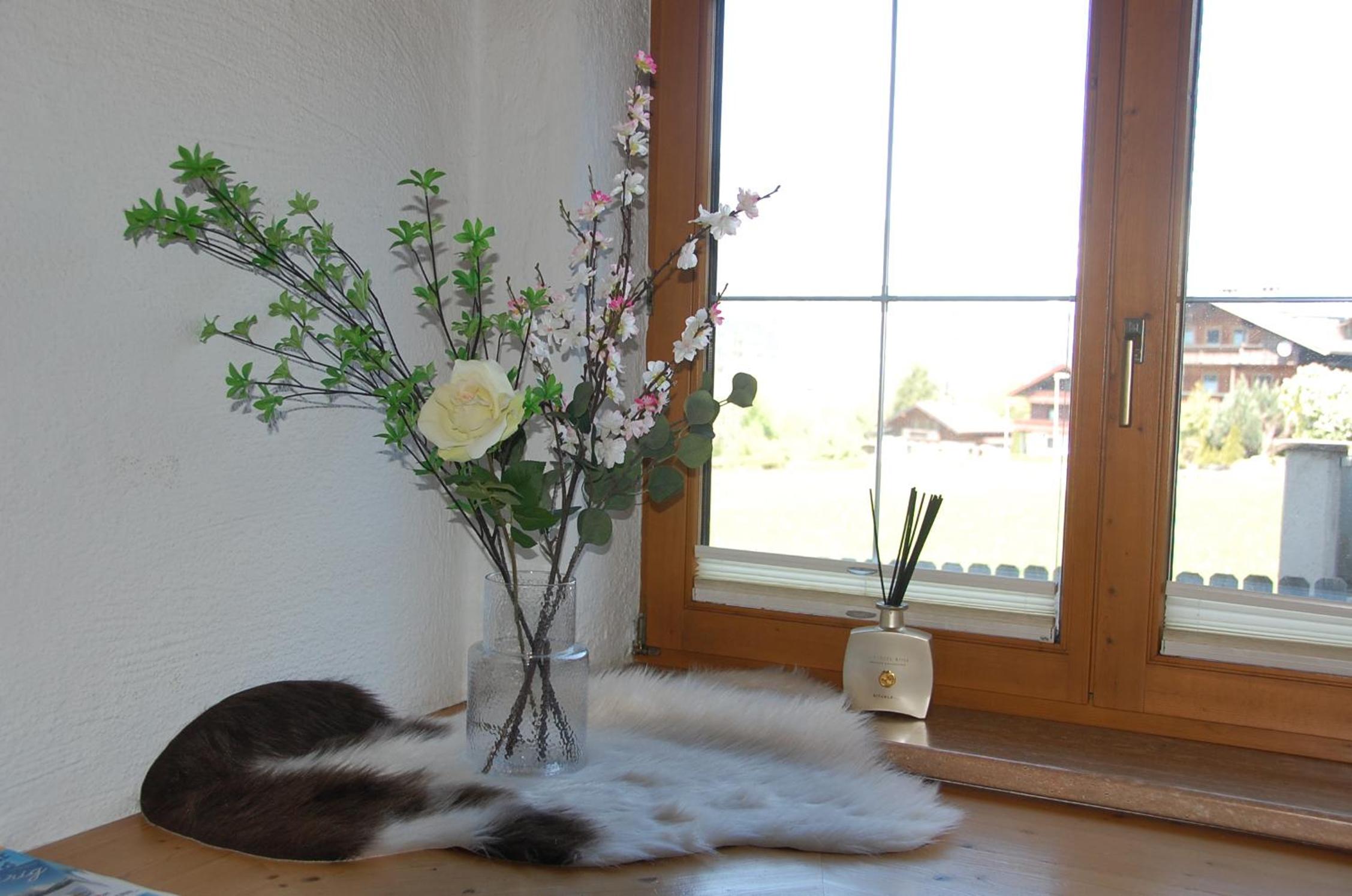 Haus hart im Zillertal 6 personen