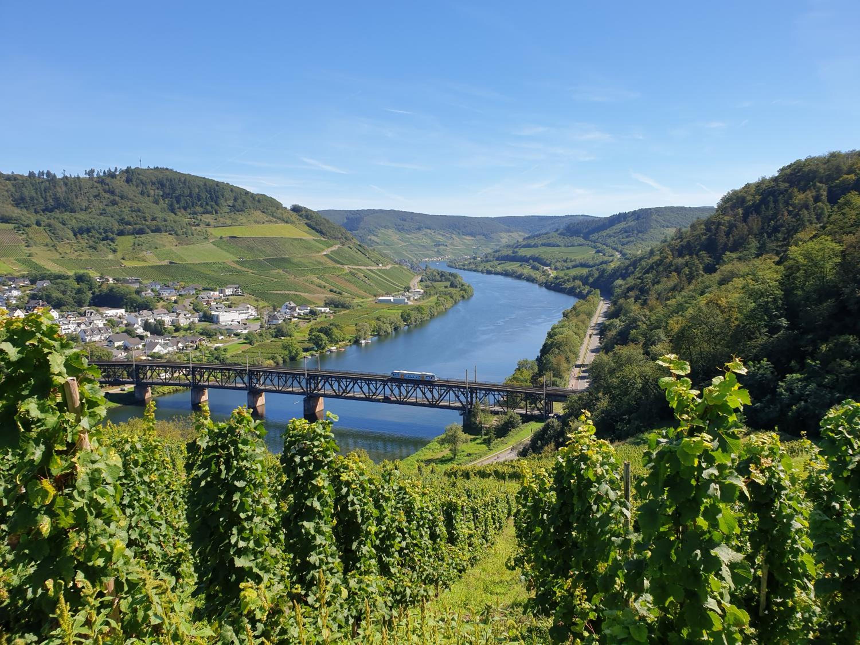 Ferienwohnungen Bullay