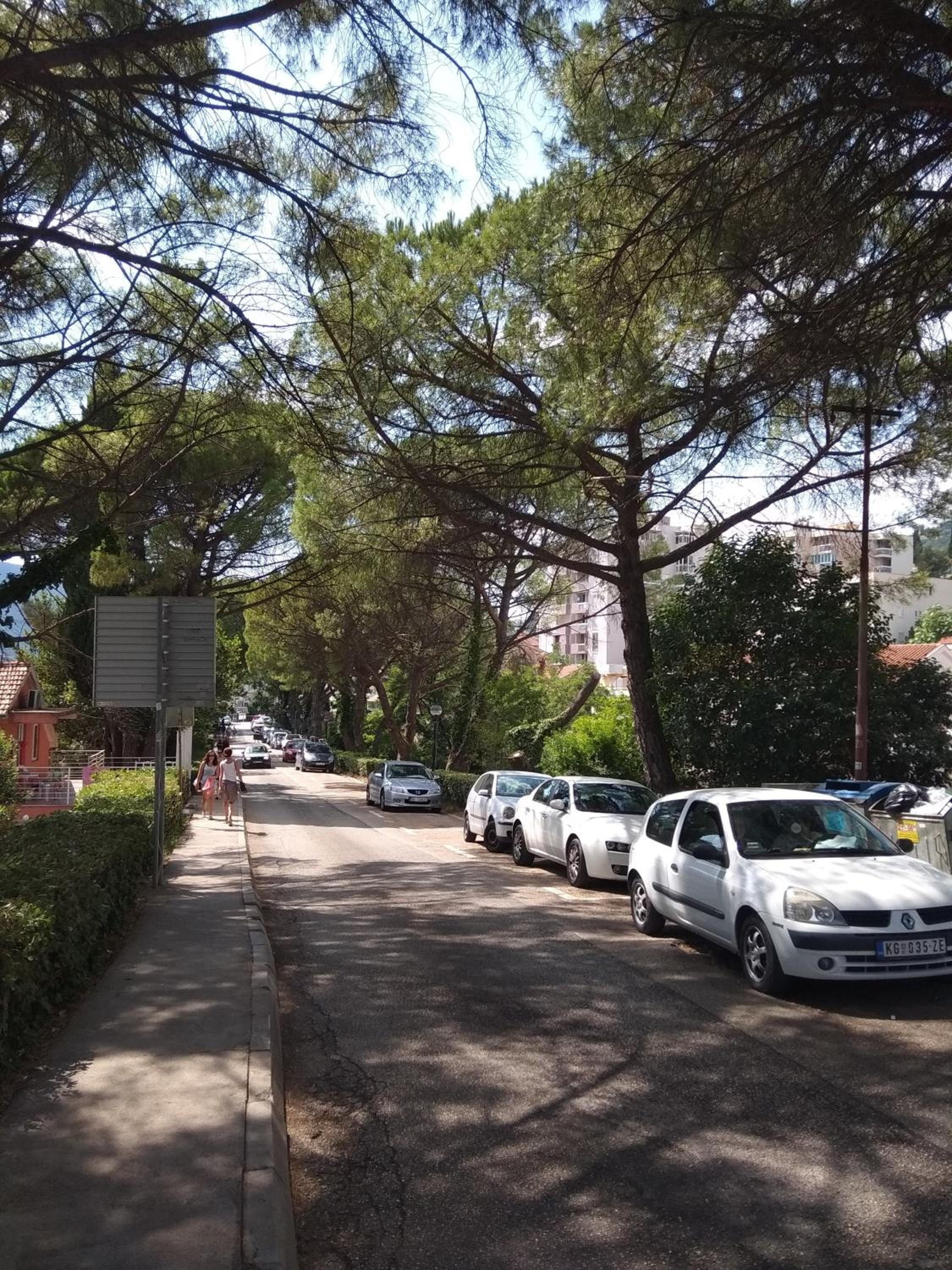 Apartmani TOPLA Zloković -A2 view 5