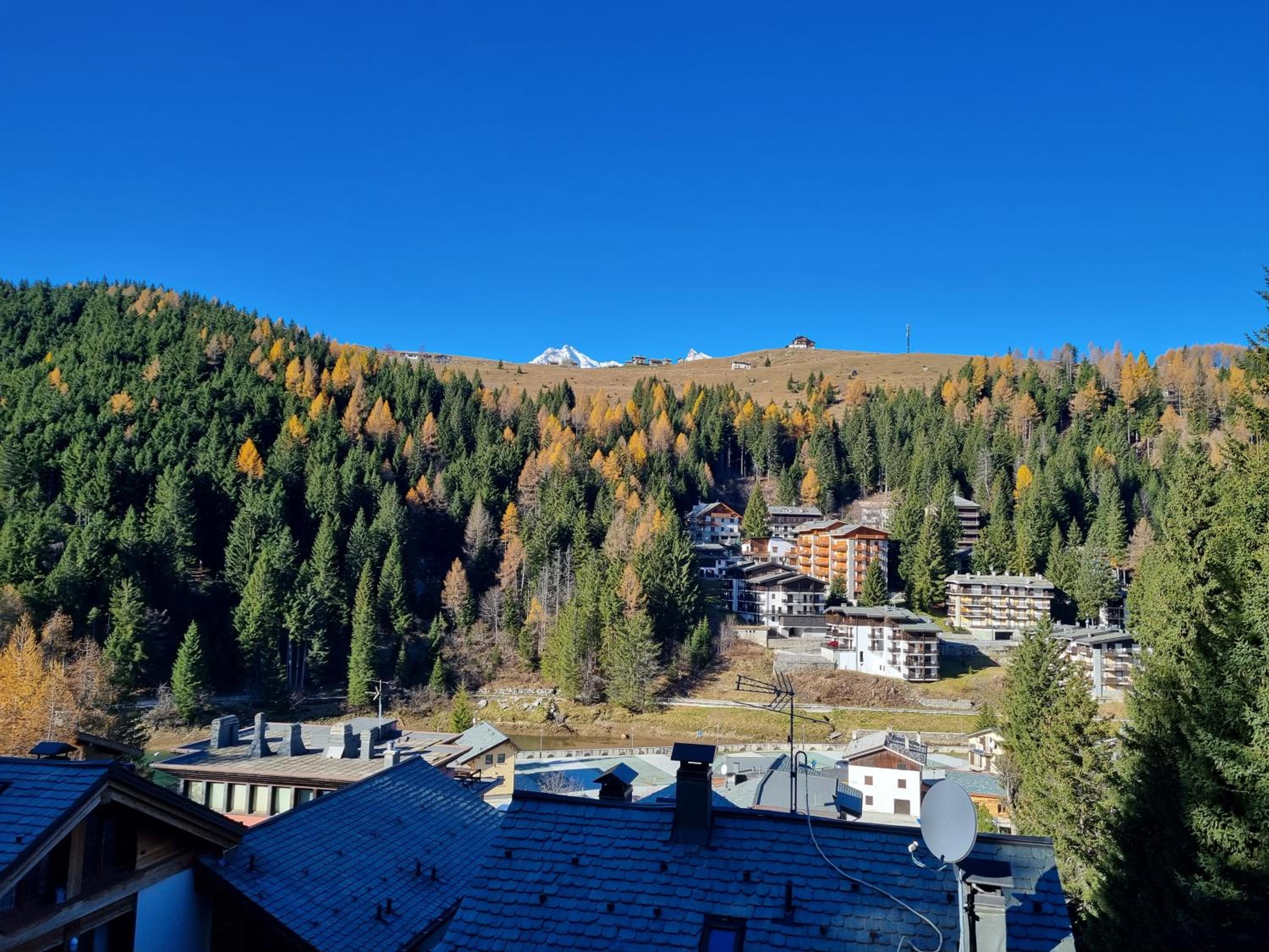 Bellavista