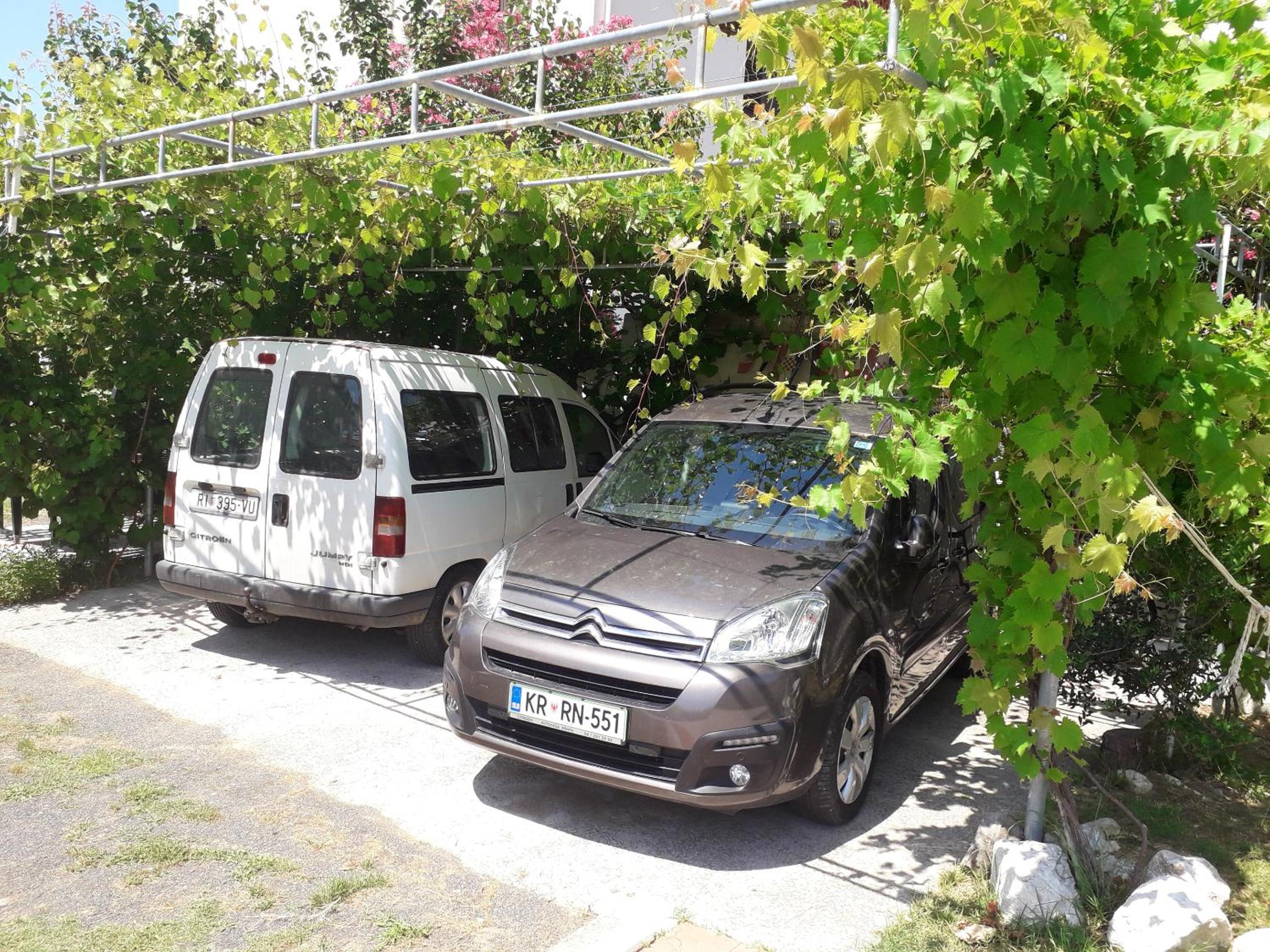 Spacious Apartment in Palit with Private Garden view 4