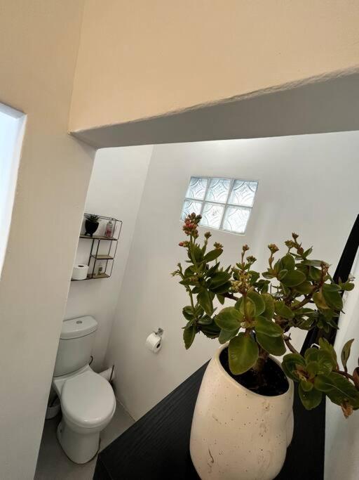 Cosy Harcourt Cottage
