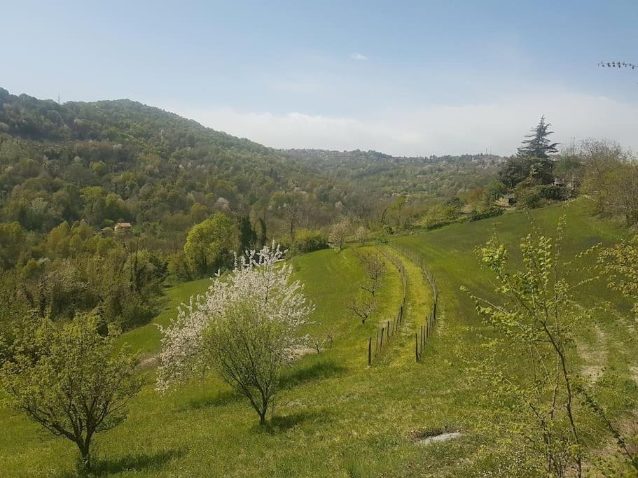 Casa Vacanza Mattirolo - Castagneto Po