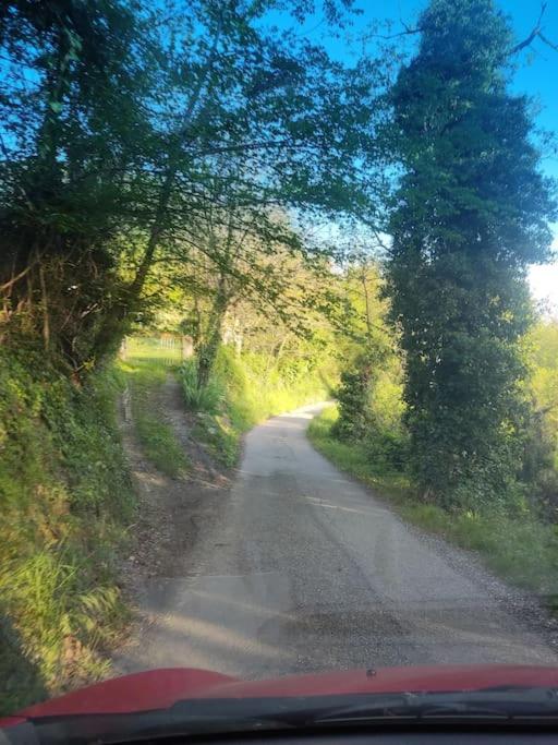 Casa Vacanza Mattirolo - Castagneto Po