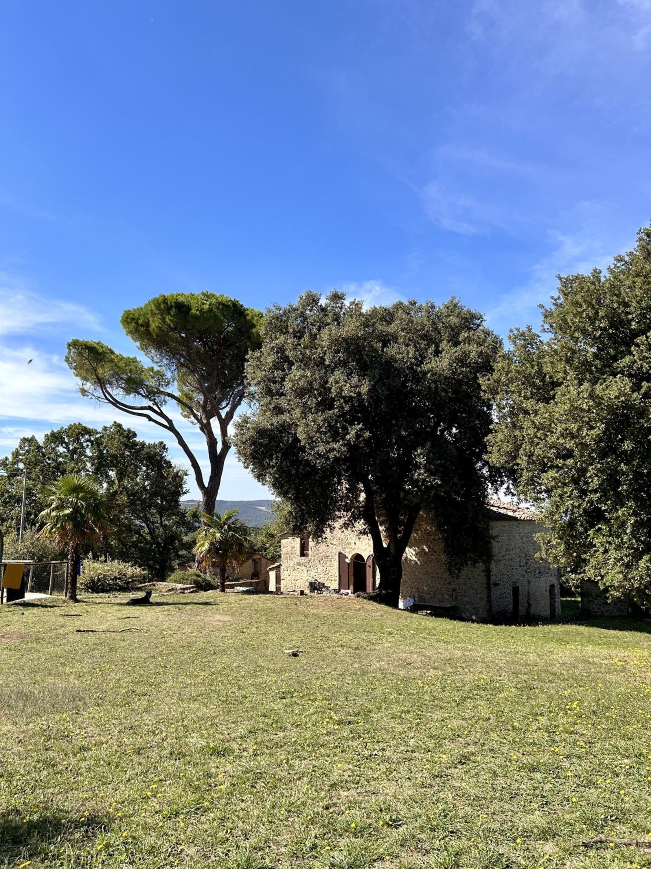 Il Leccio view 2
