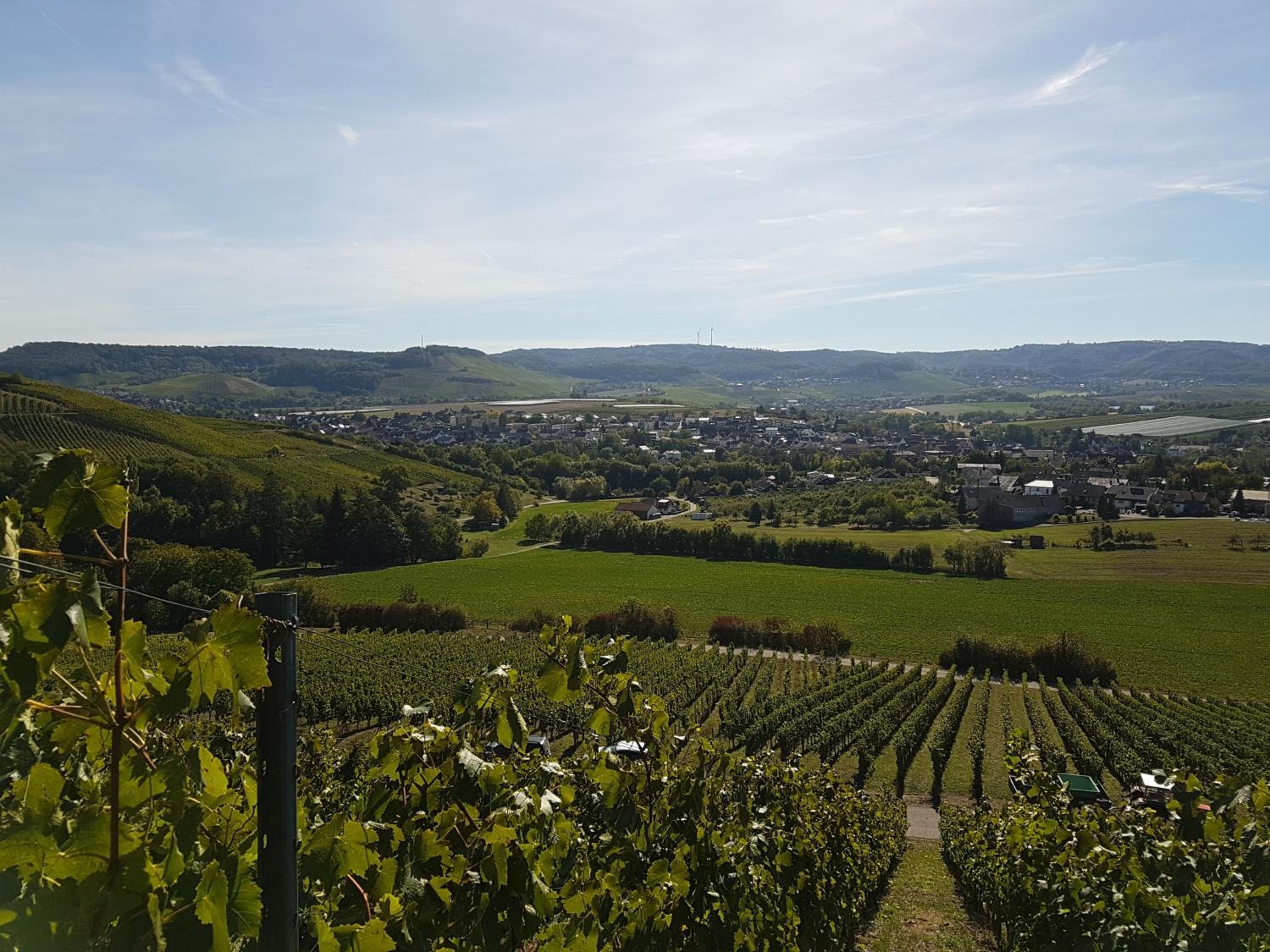 Gästehaus und Weingut Erich Hirth