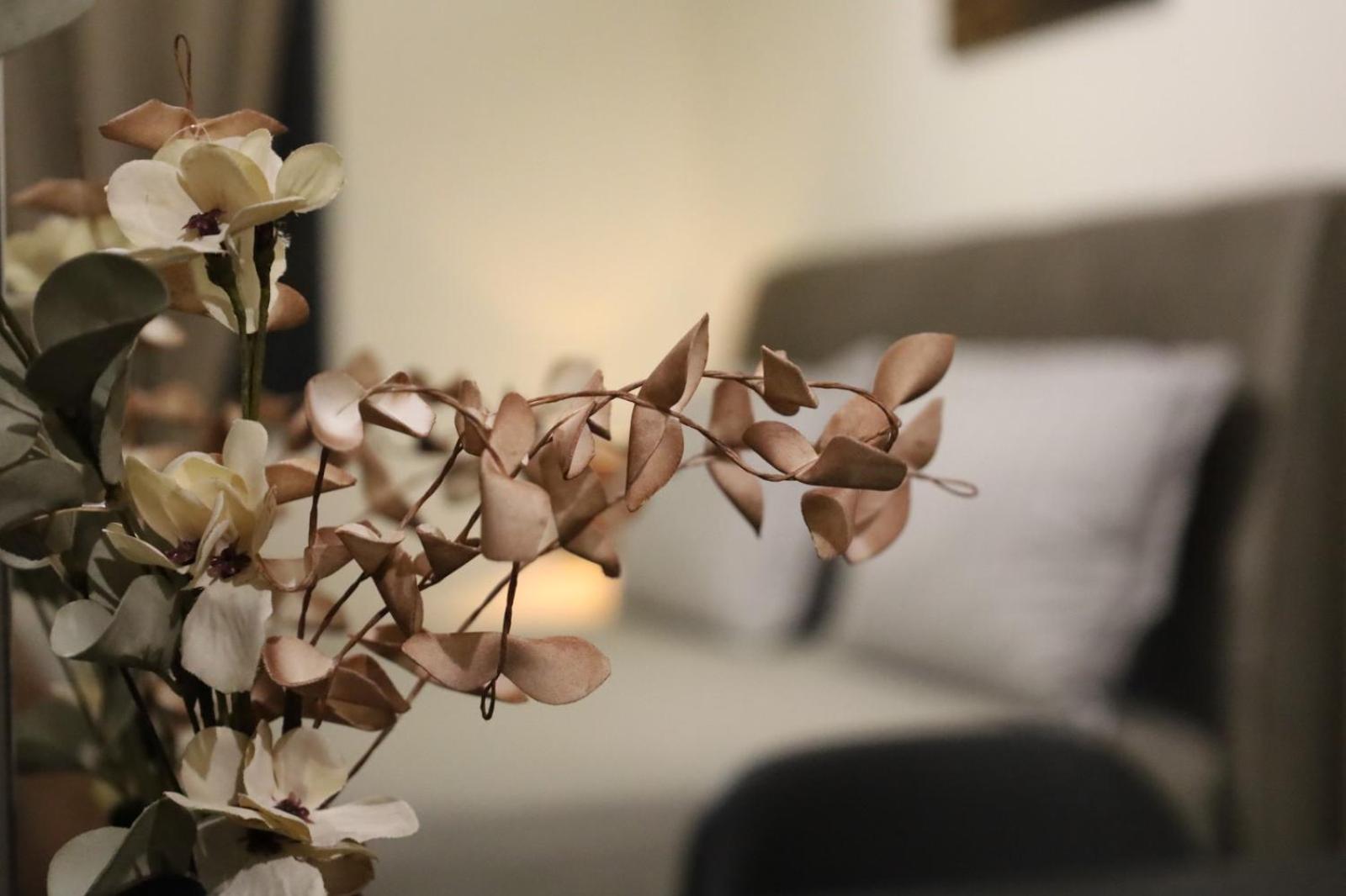 Xanthi BnB3
