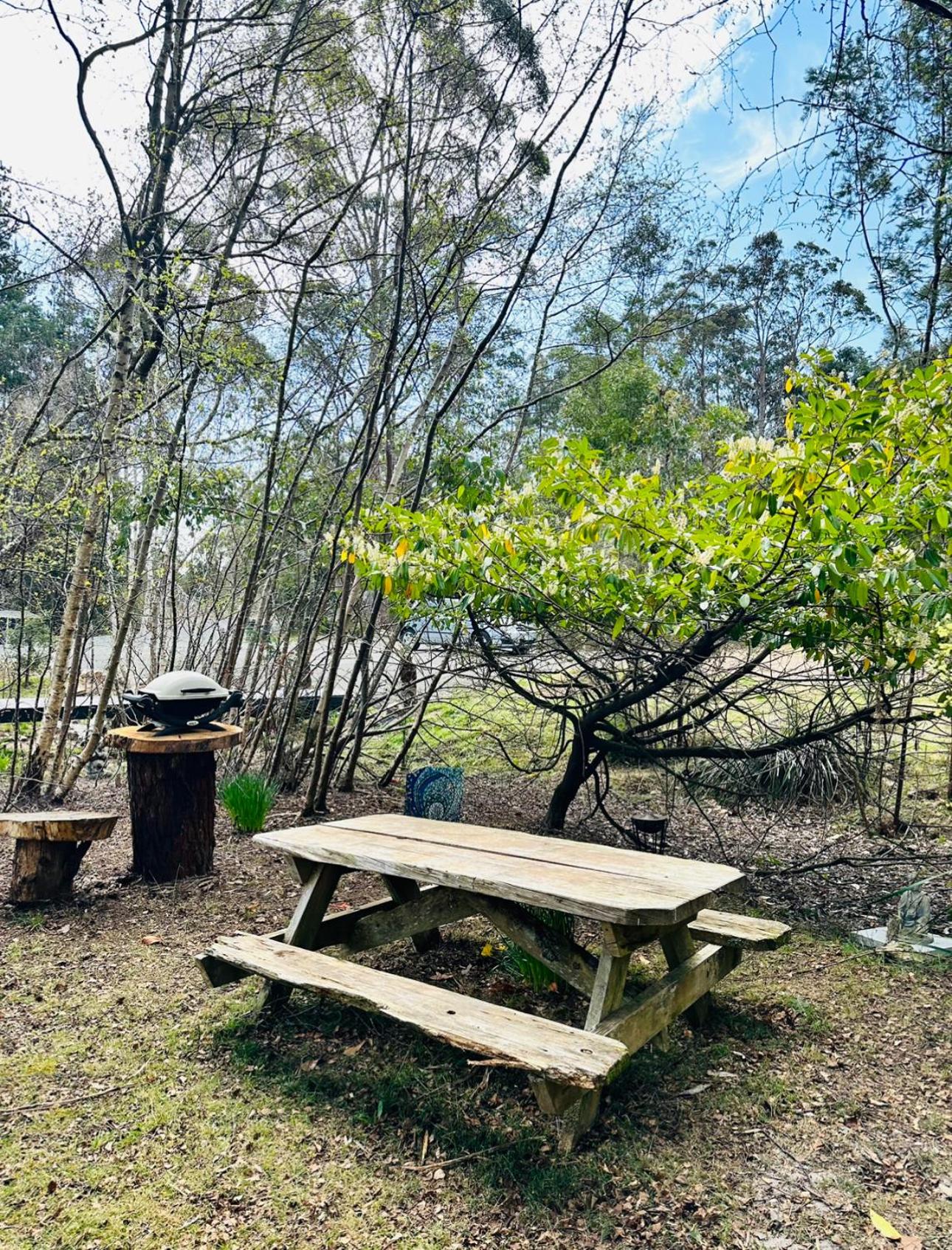 Quamby Bluff Lake House, Deloraine, Tasmania