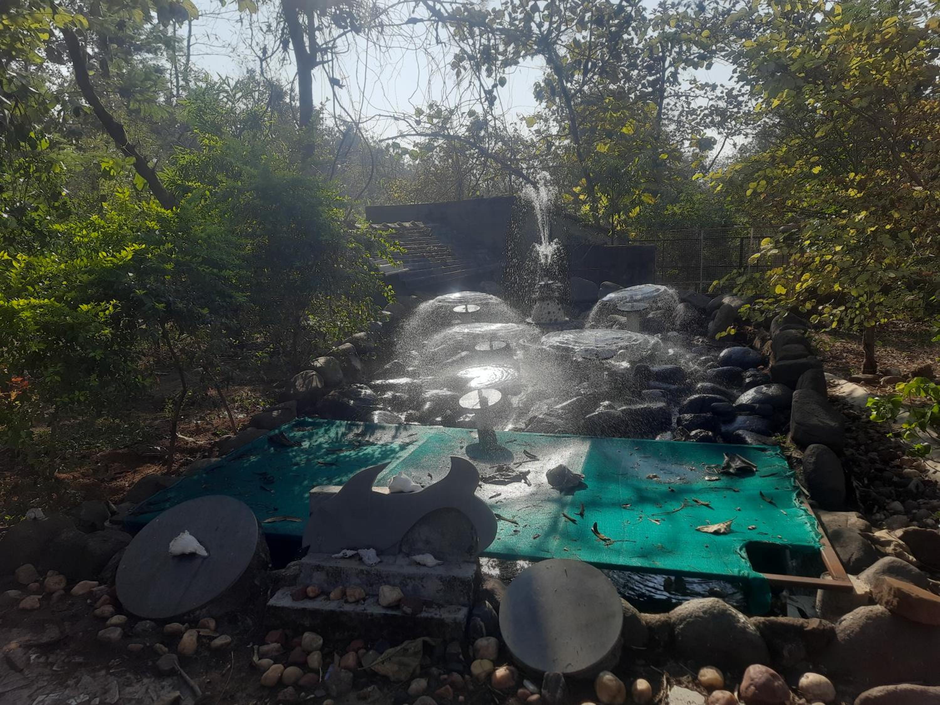 Jungleaashiyana