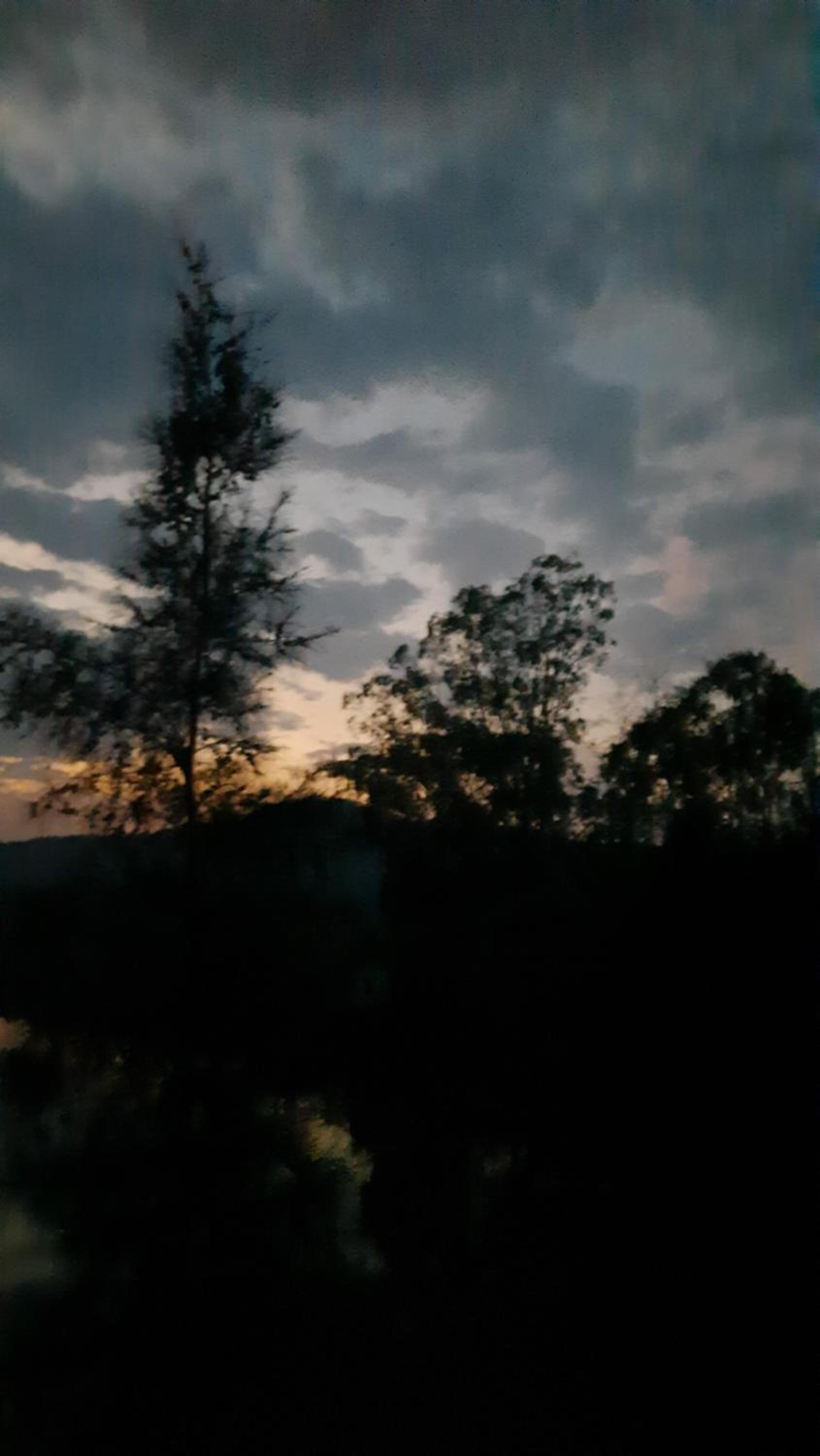 Jungleaashiyana