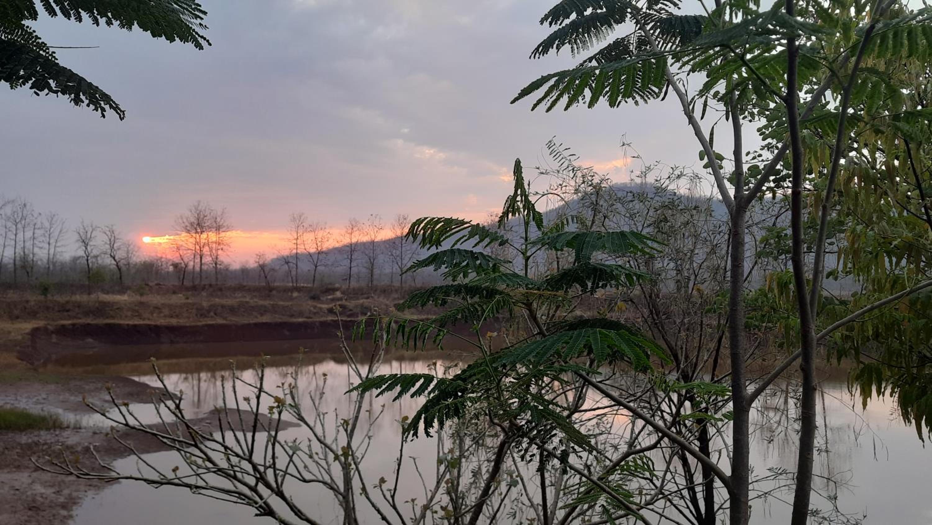 Jungleaashiyana