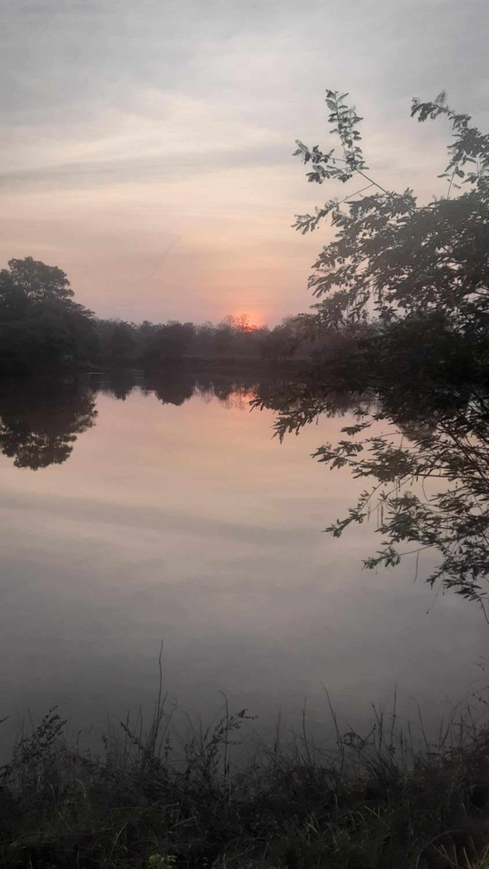 Jungleaashiyana