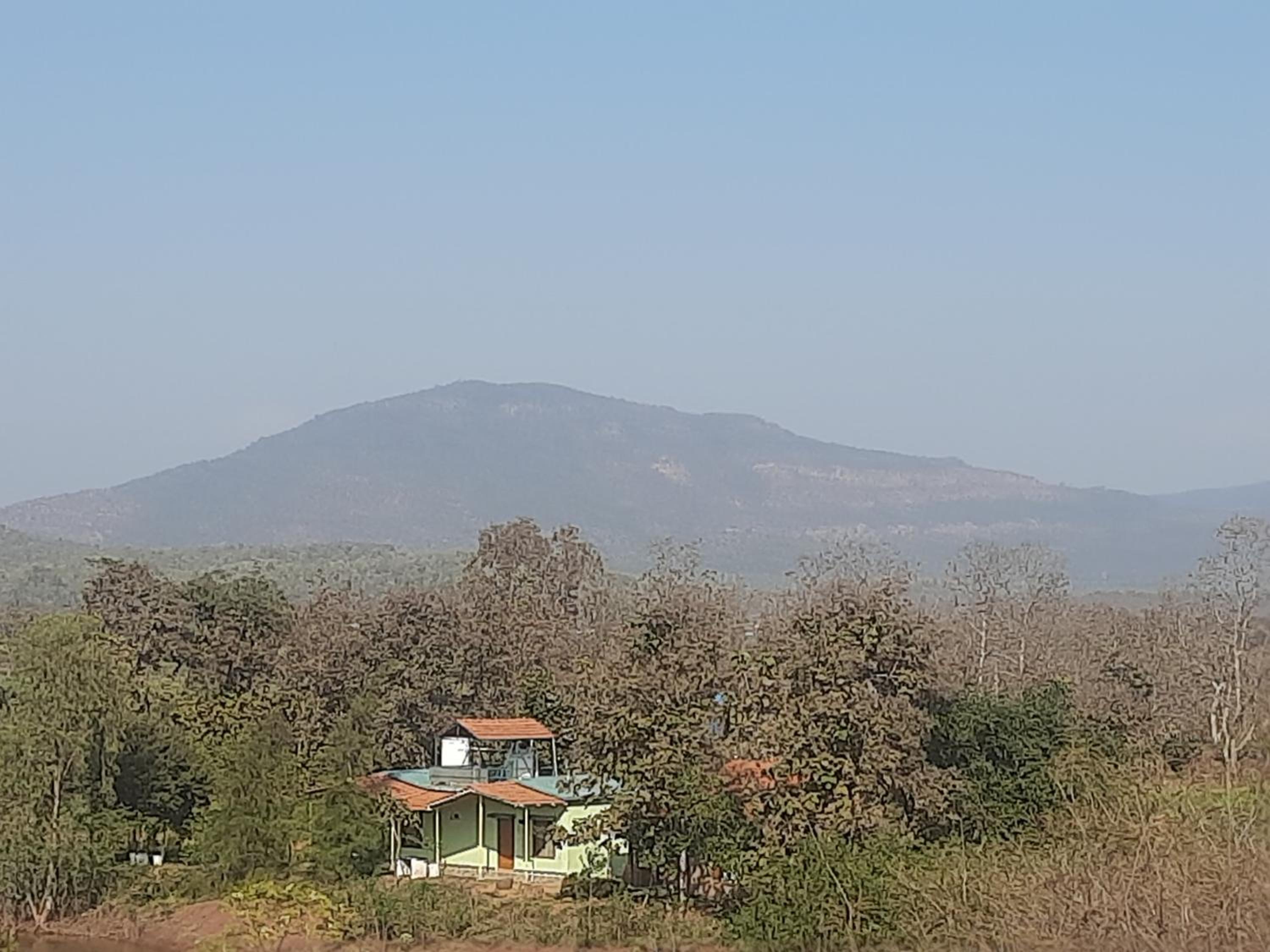 Jungleaashiyana