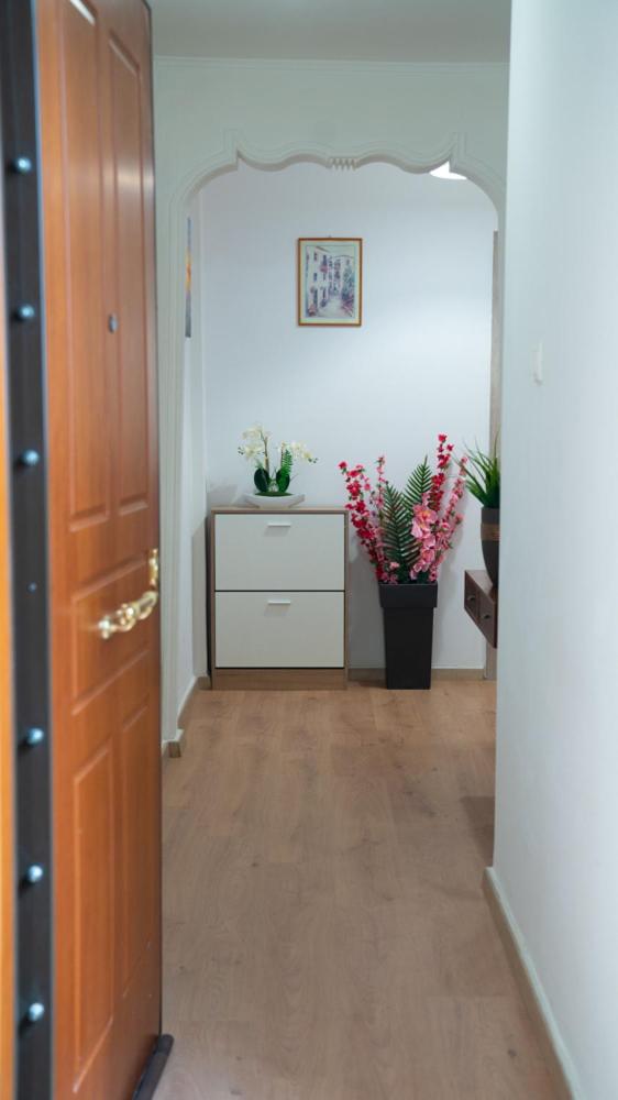 Cozy Apartment in Athens Center