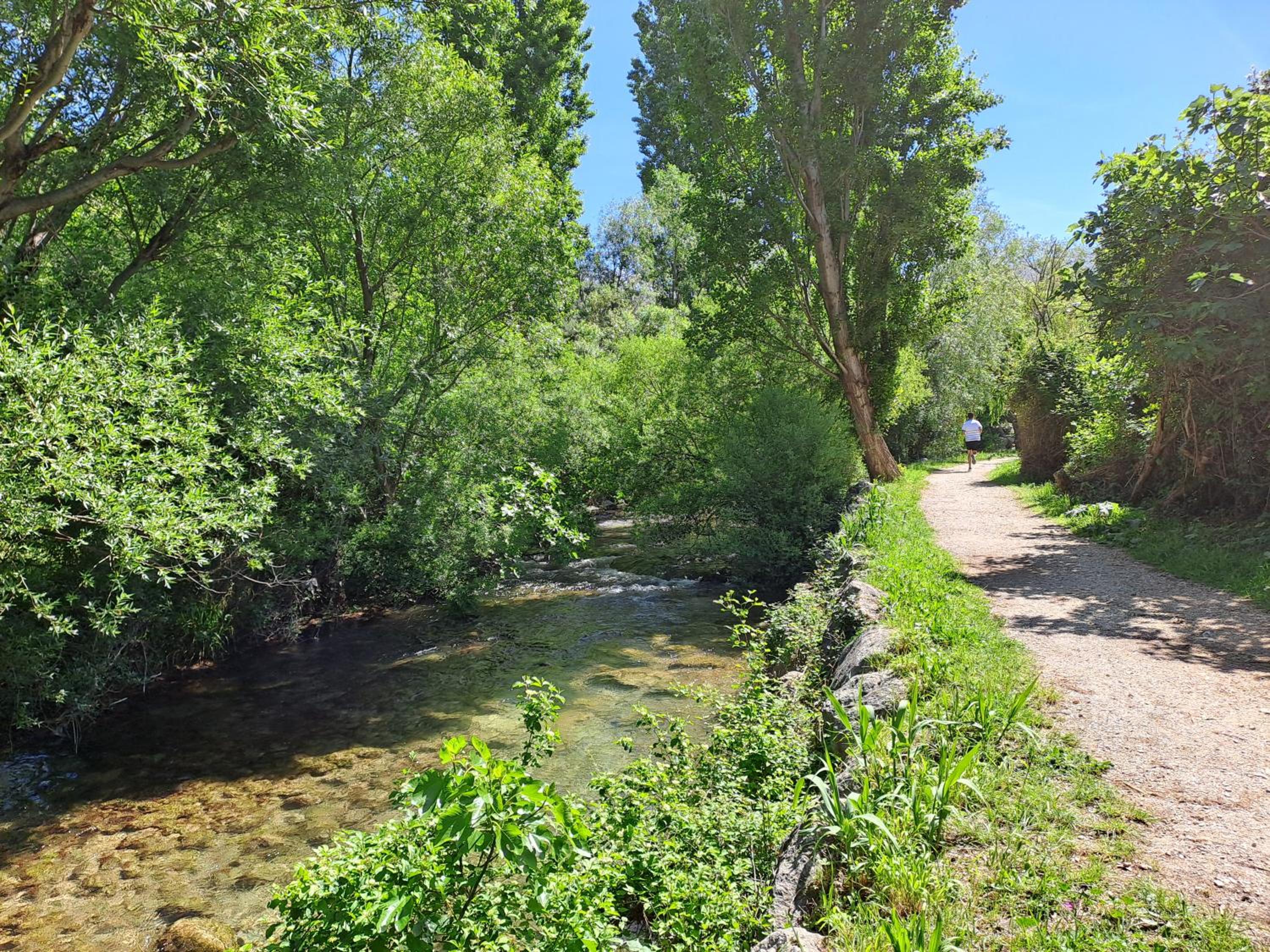 Photo 46