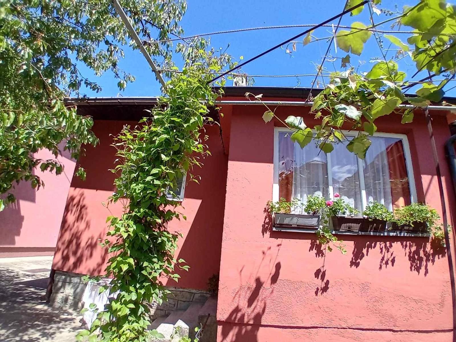Smeštaj Vesna, photo 19