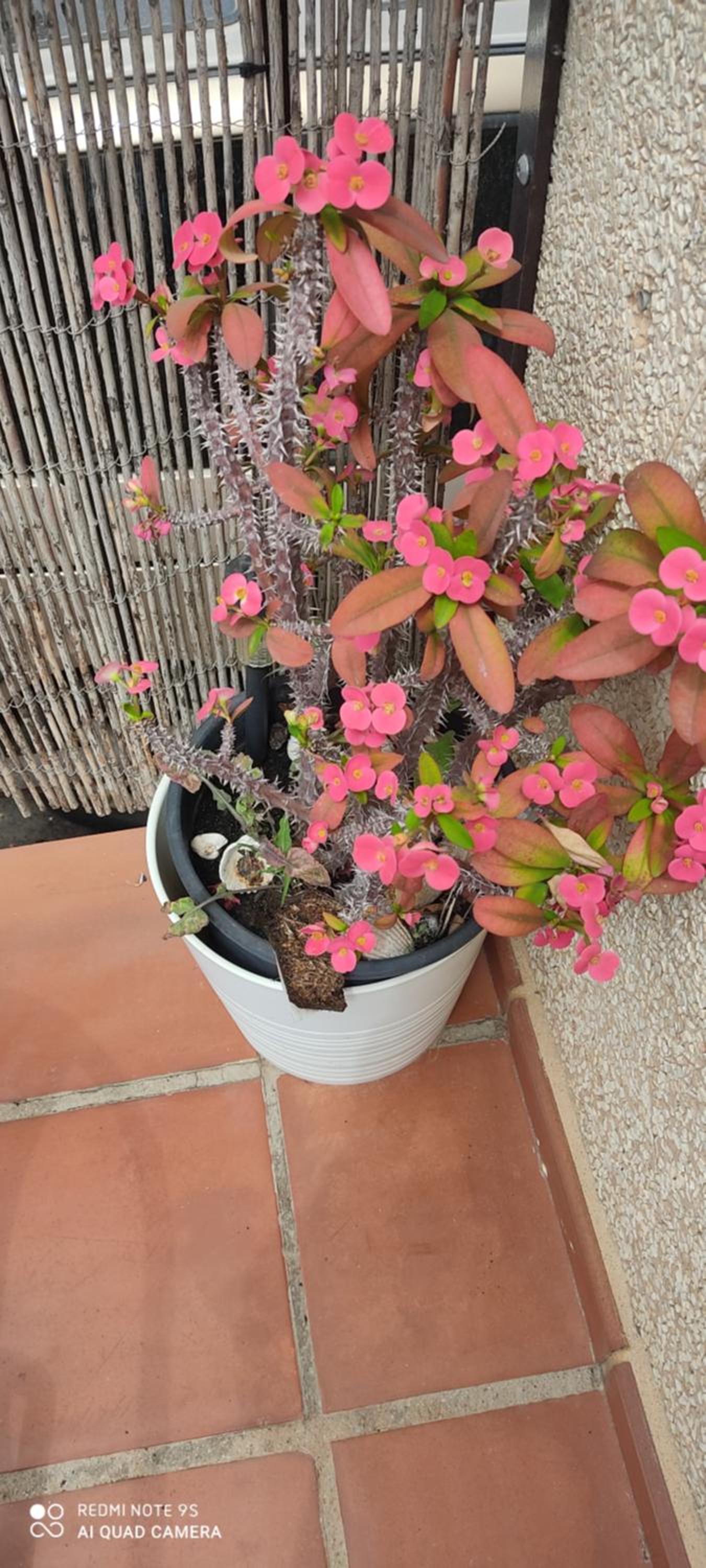 Apartamento Turístico FlorHouse