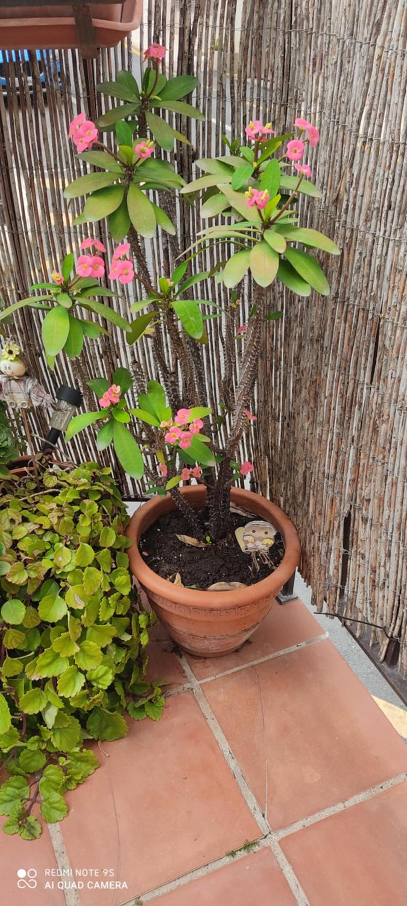 Apartamento Turístico FlorHouse