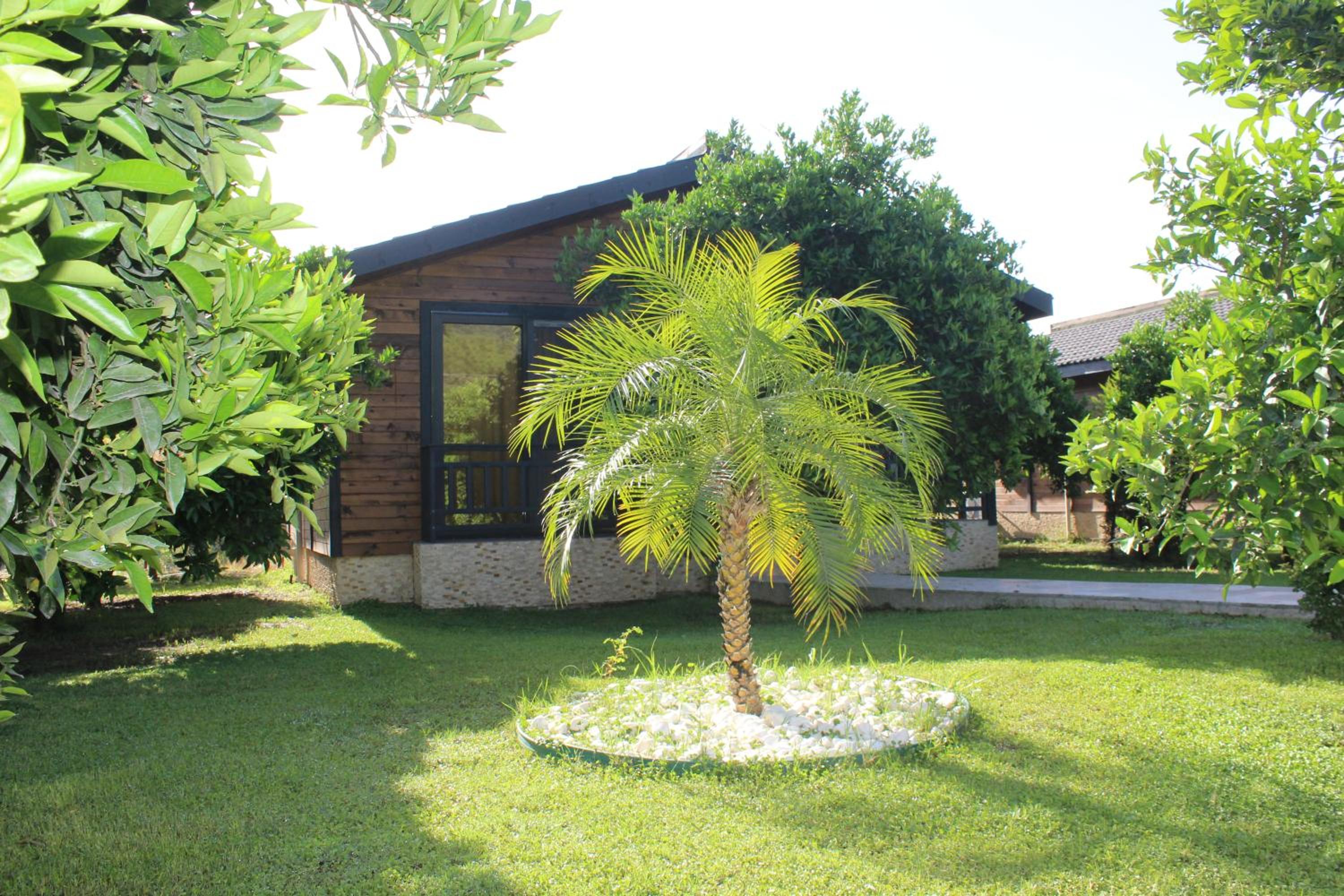 Çıralı Villa 2 view 2