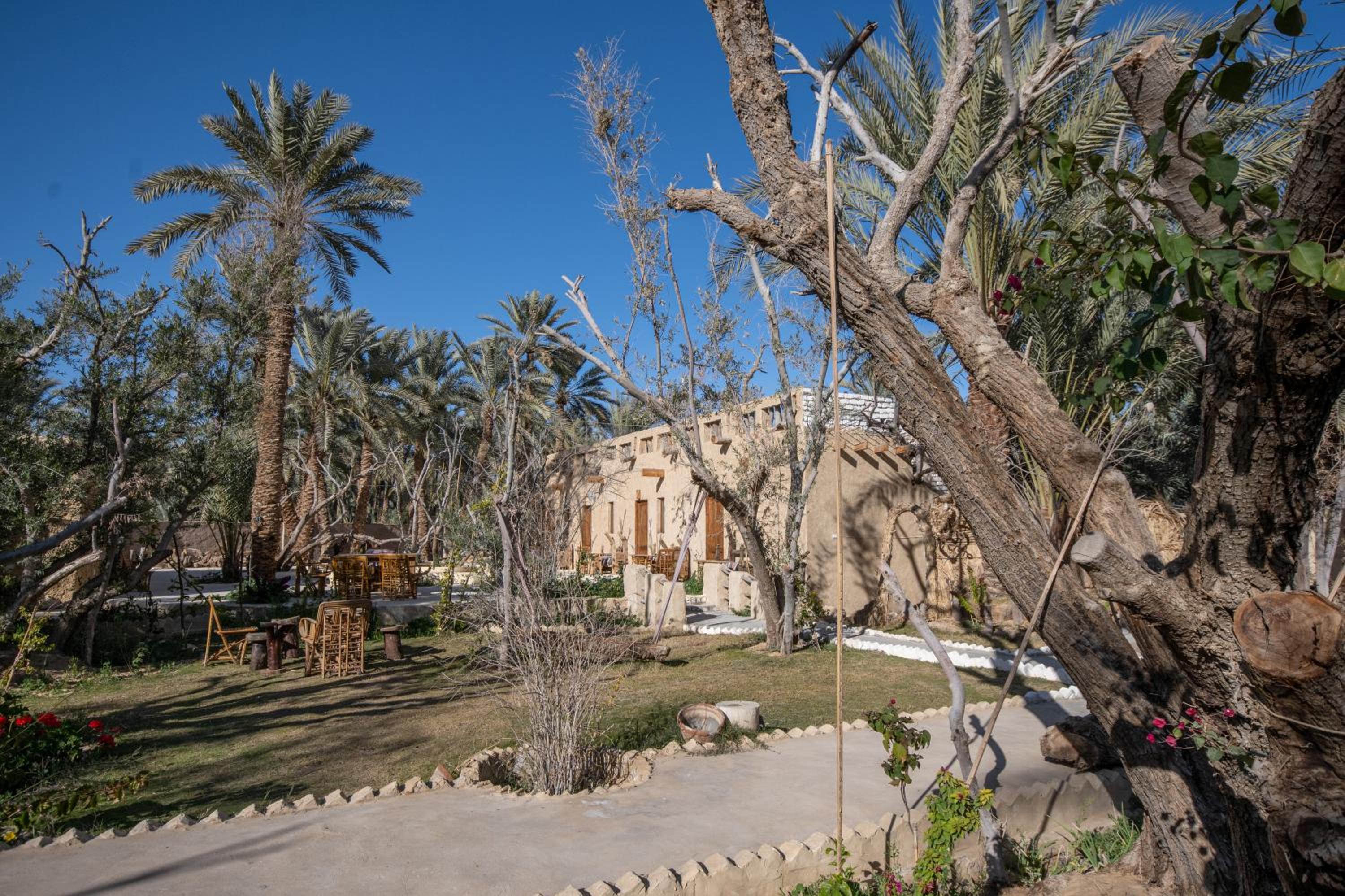 Olive Garden House Siwa - Image 3