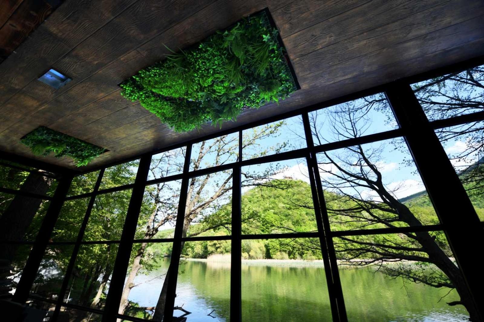 Villa Luxury Medjuvrsje view 4