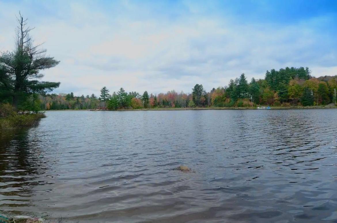 Grenville Gem: Luxury Chalet,Pool & Jacuzzi Oasis