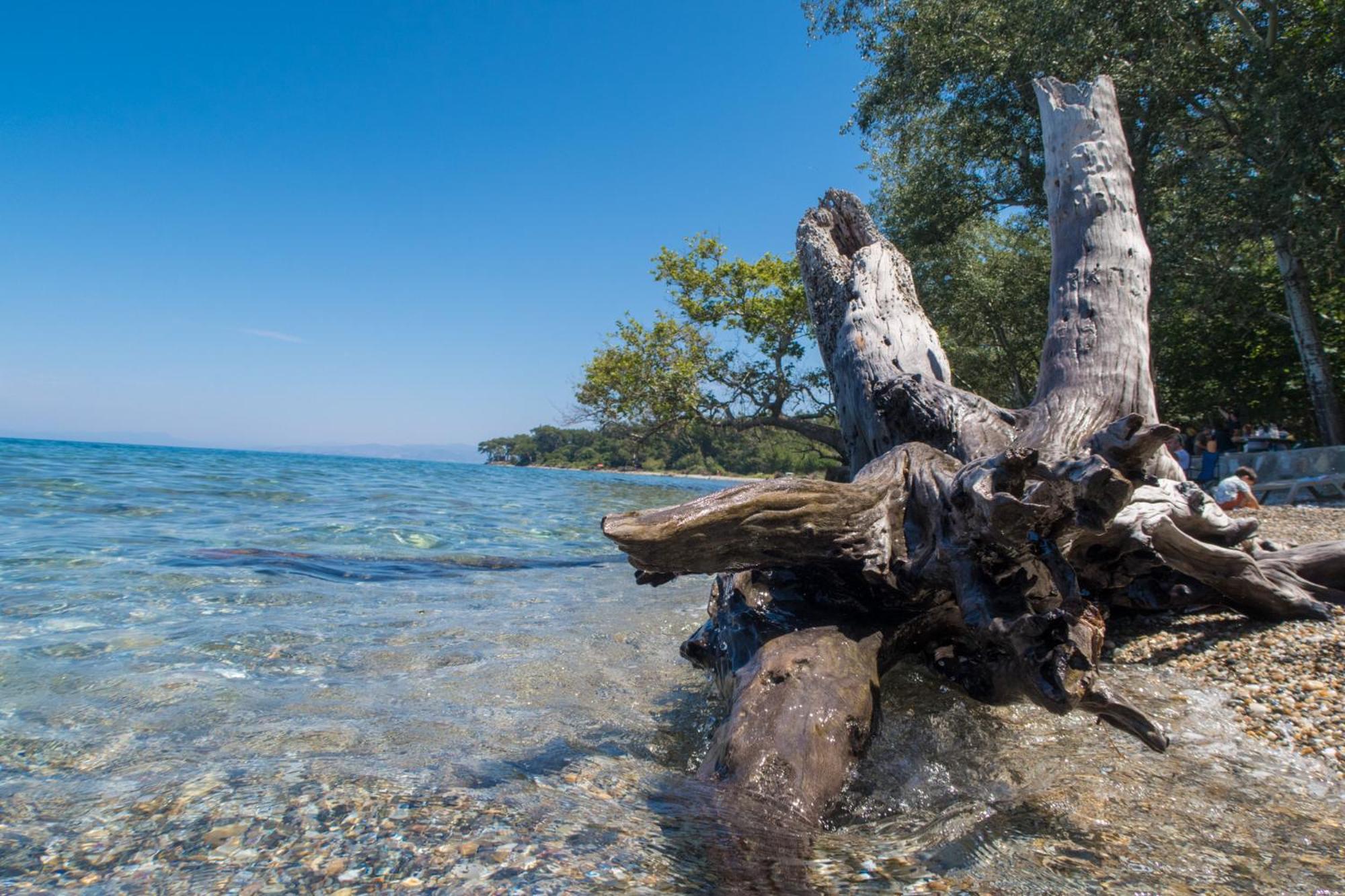 Ecer Pansiyon - Image 68