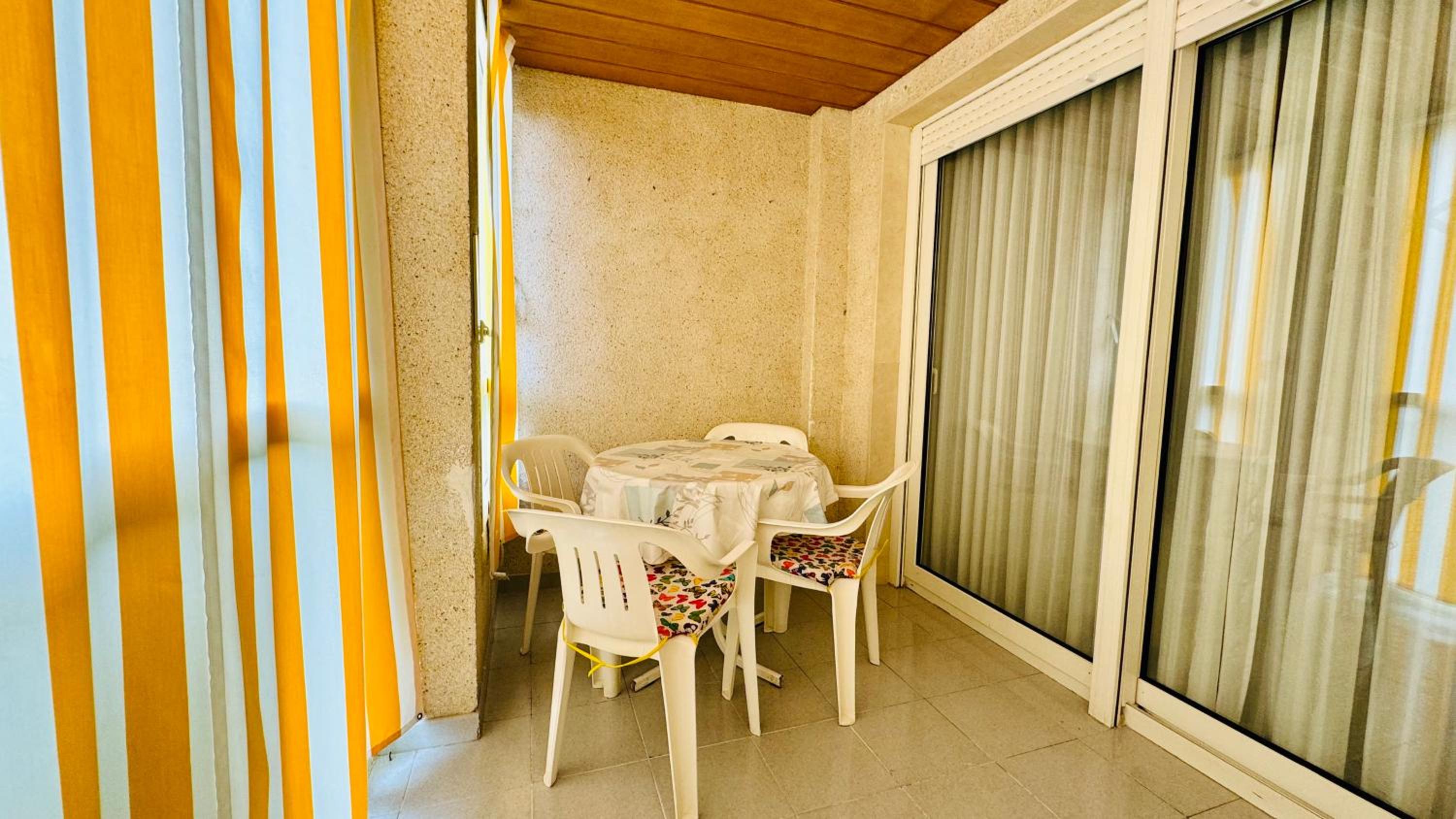 Palatino Albir