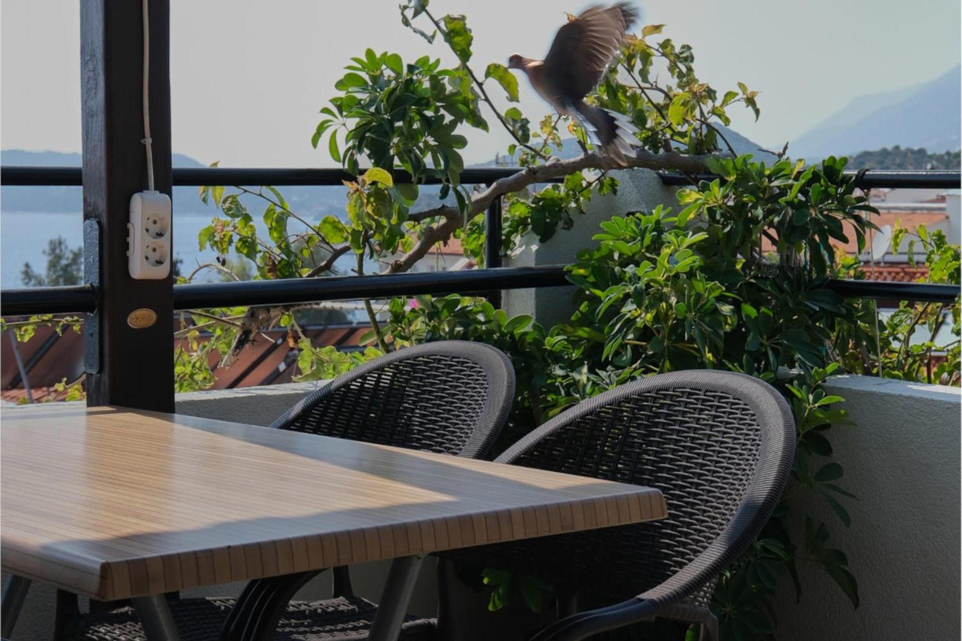 CARETTA PANSİYOn - Image 55