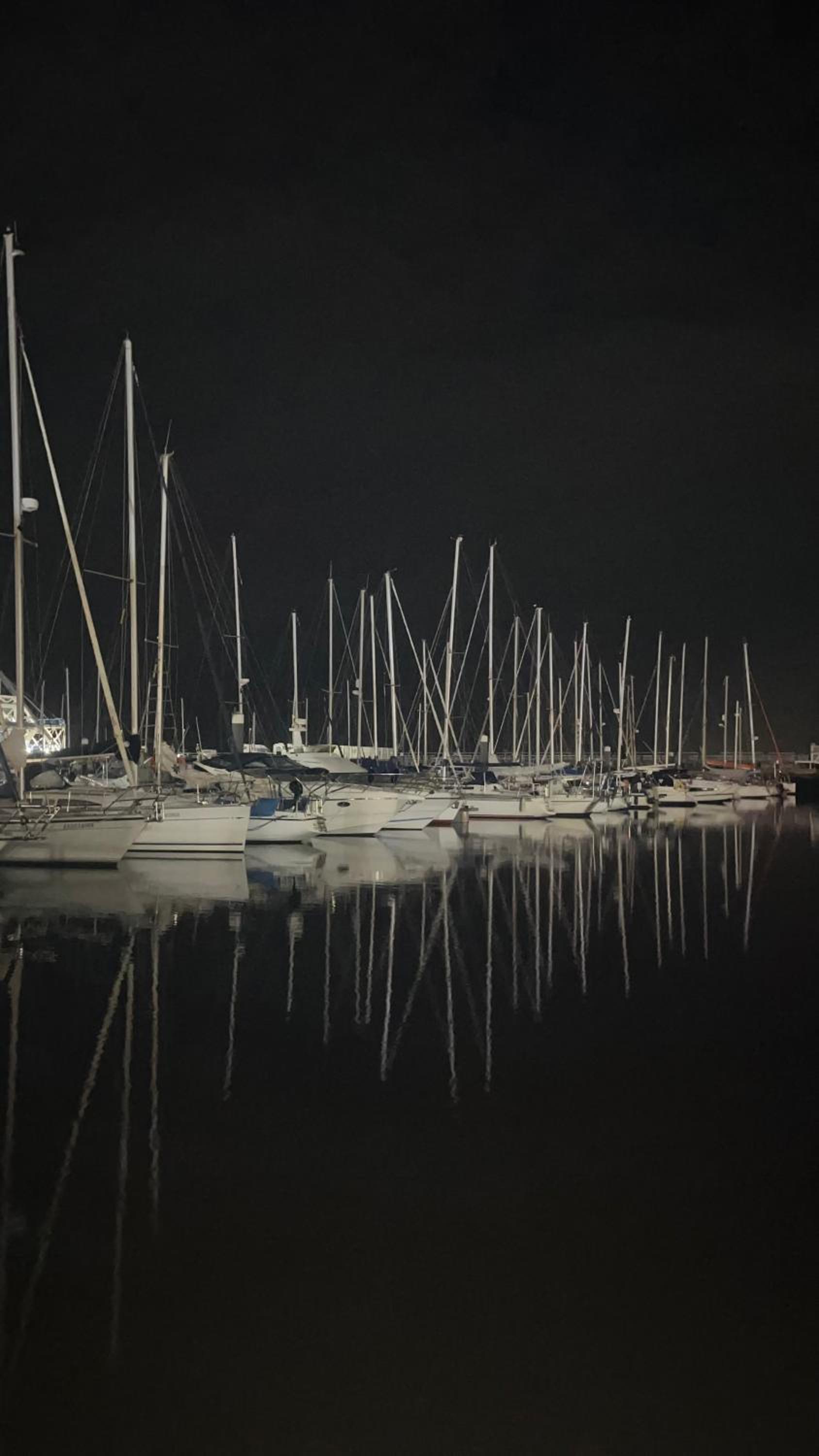 Waterlife