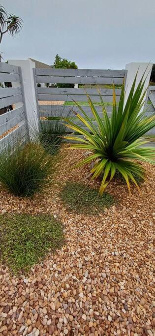 Grande Camore flat at no 5 view 4