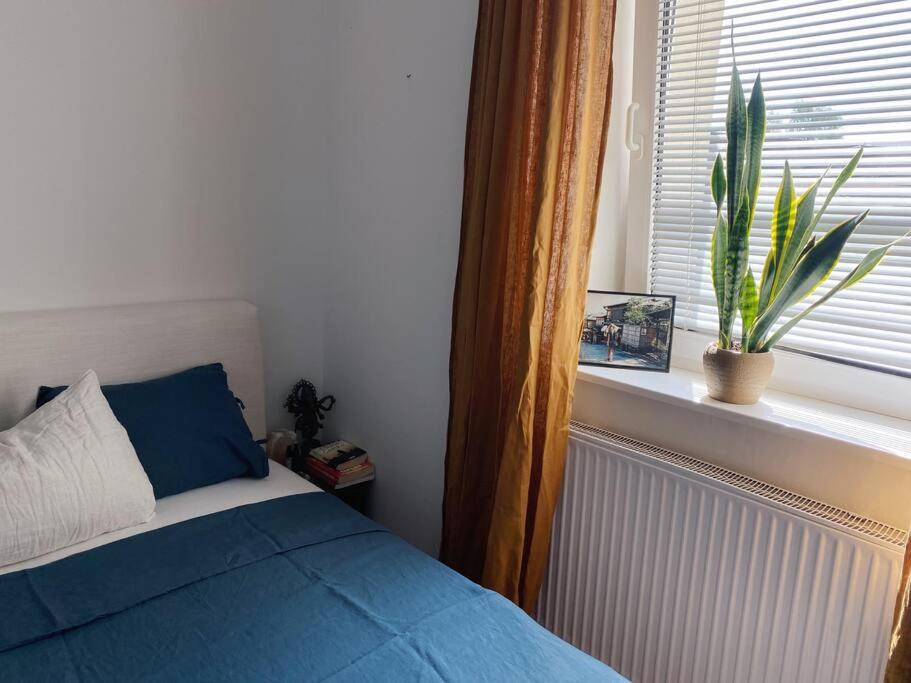 Cosy apartment Tivoli center FREE PARK view 5
