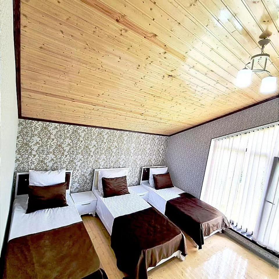 Gabala lux house