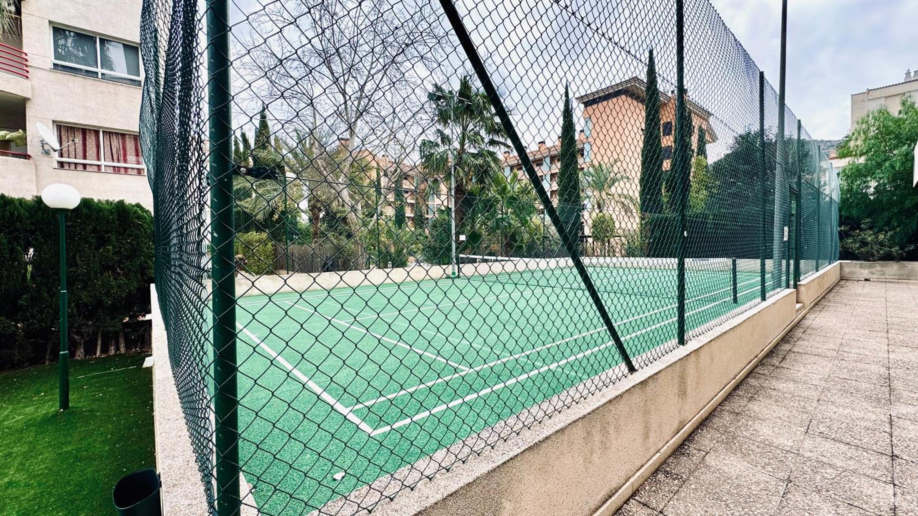 Palatino Albir