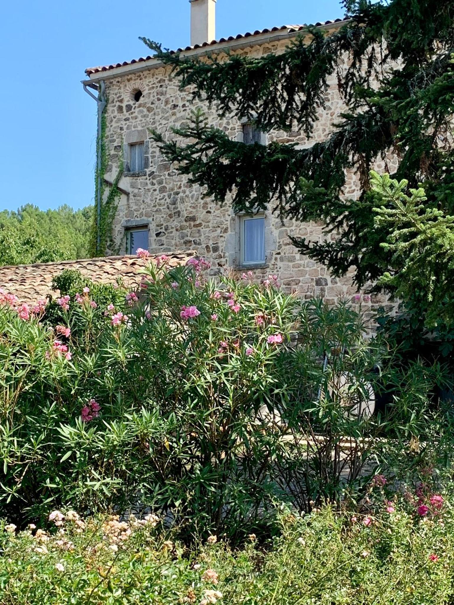 Photo 8