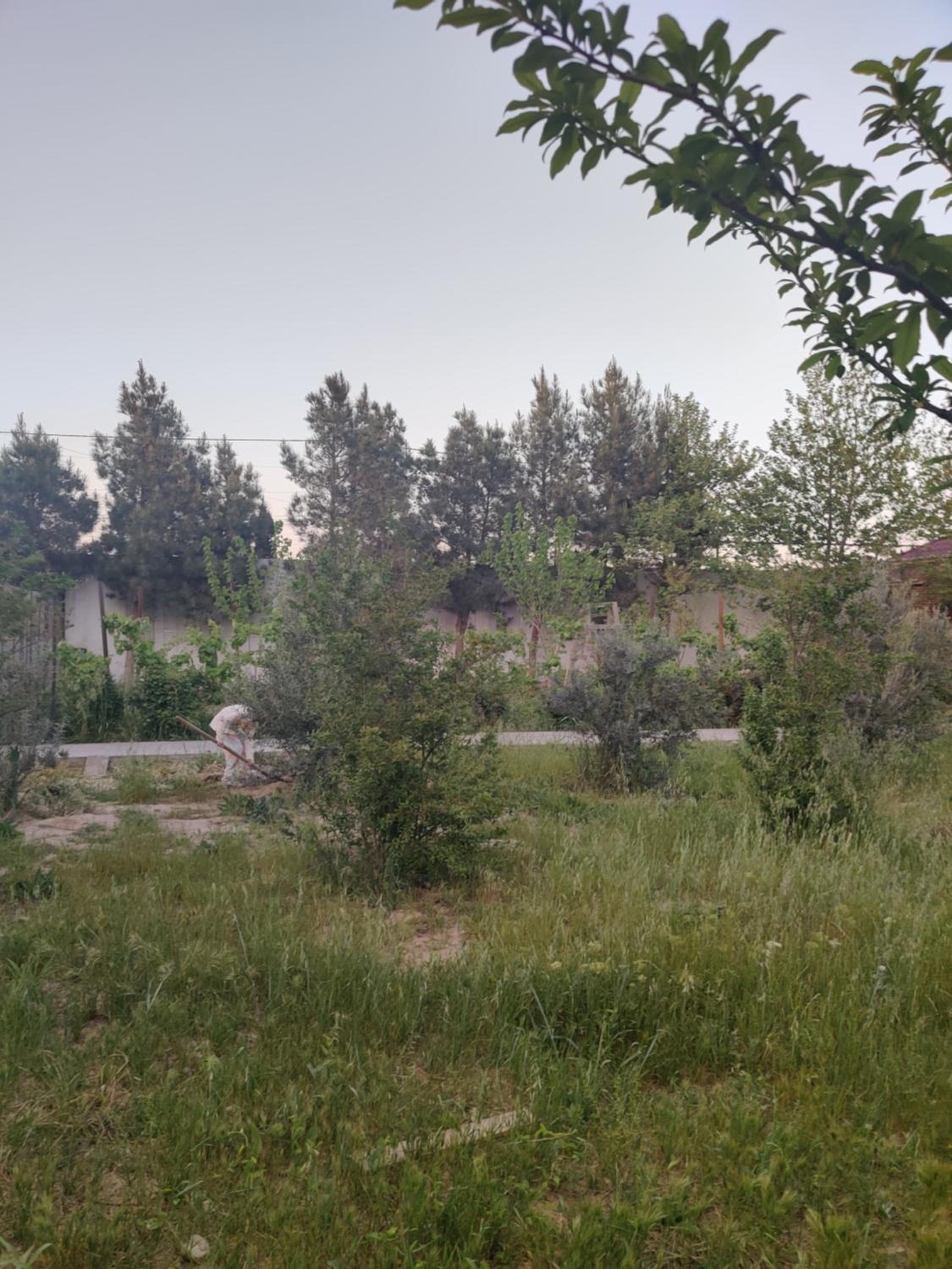 Baku Red Villa