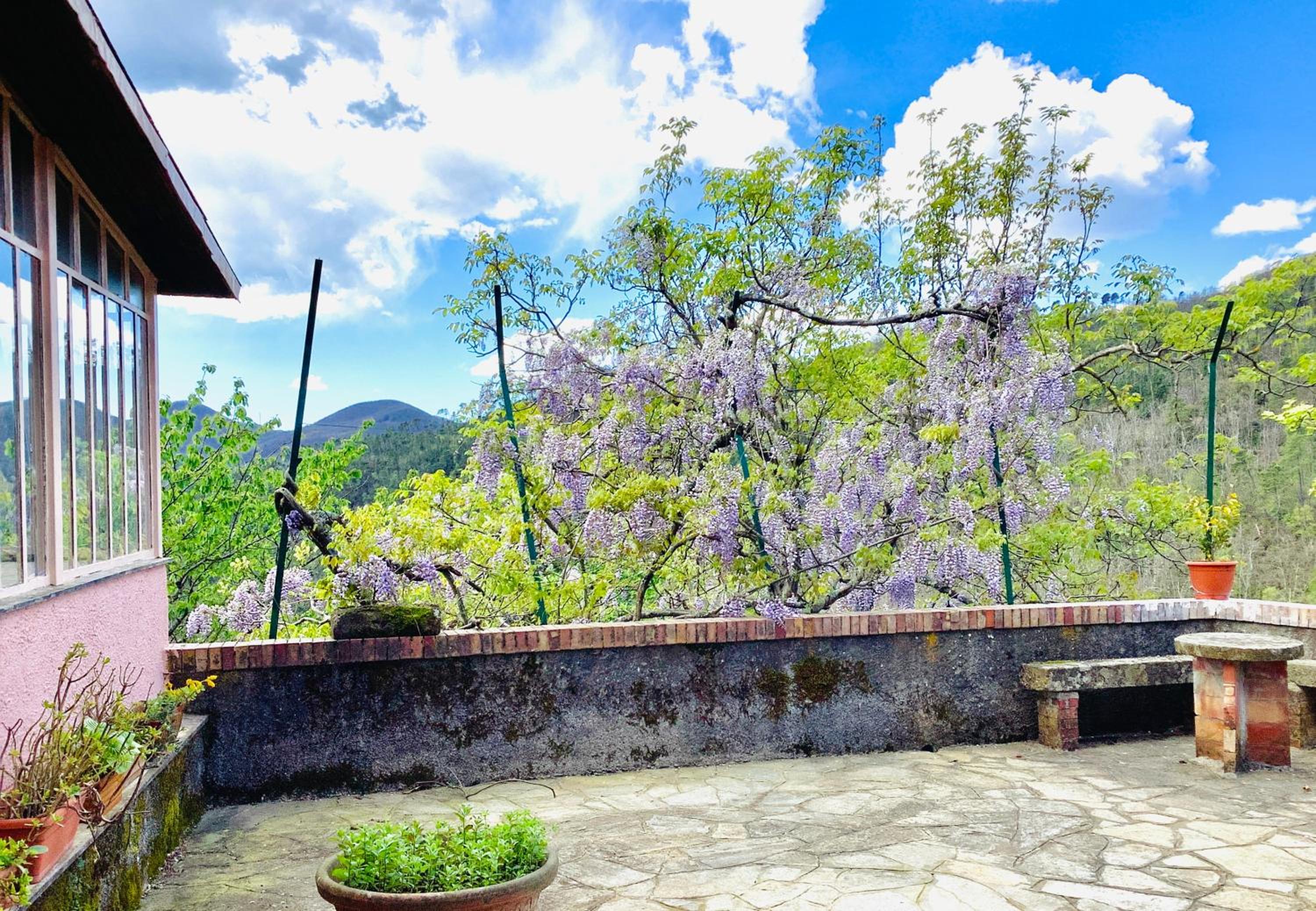Artists' holiday home near Cinque Terre - 4 bedrooms, large terrace, great views view 5